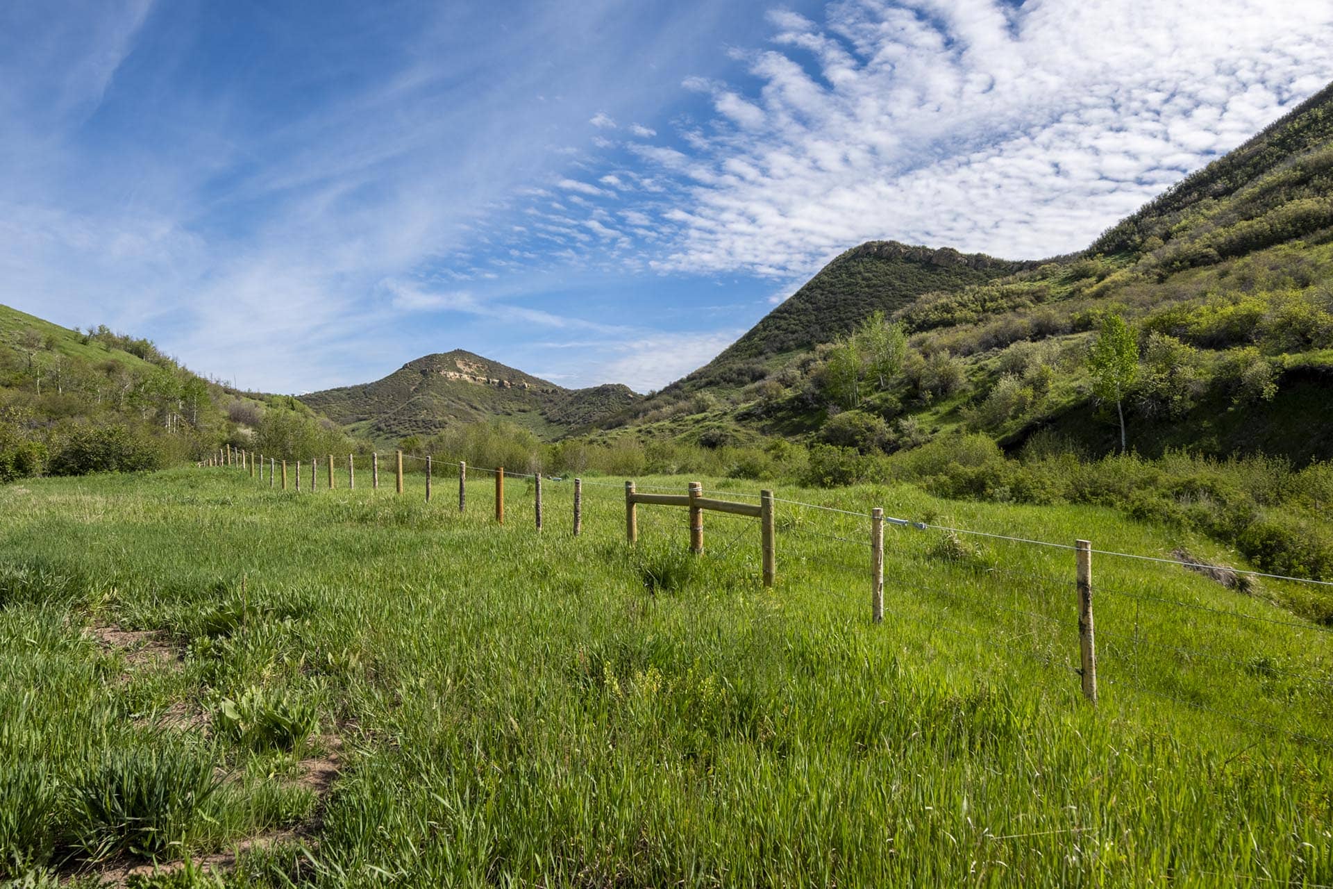 music fest colorado doc utterback elk ranch