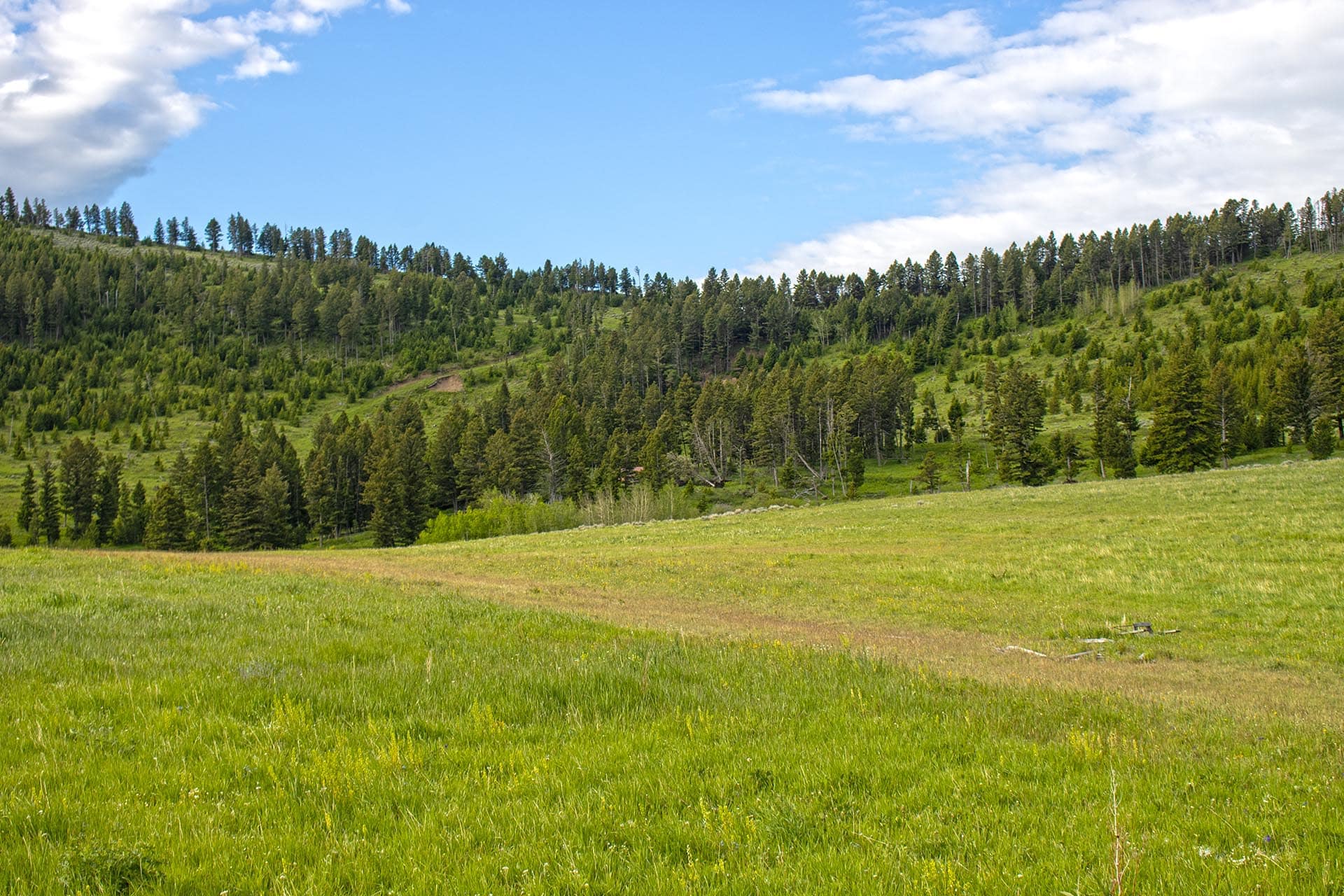 open meadow land for sale montana north bridger hunting retreat