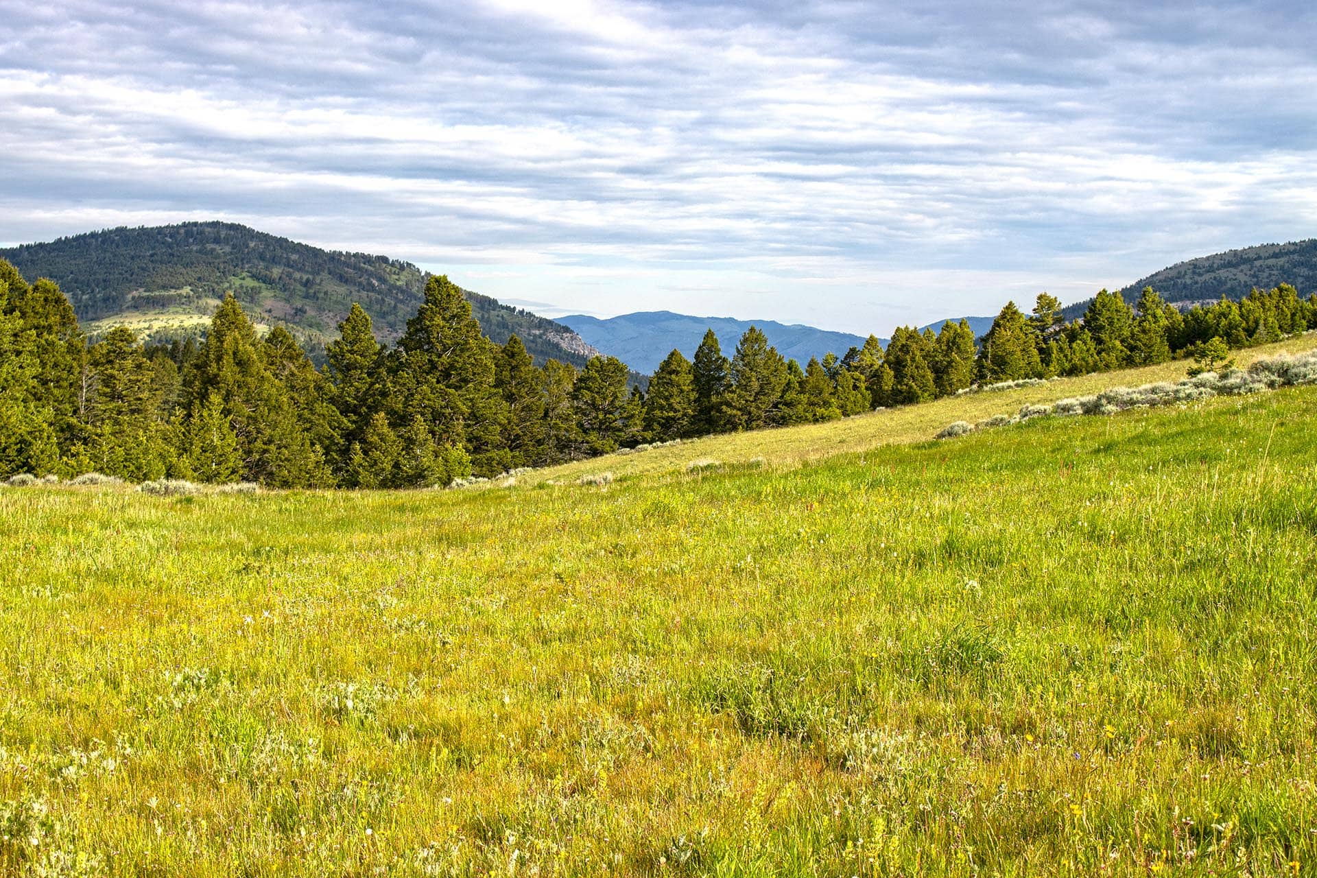 open meadow land montana north bridger hunting retreat