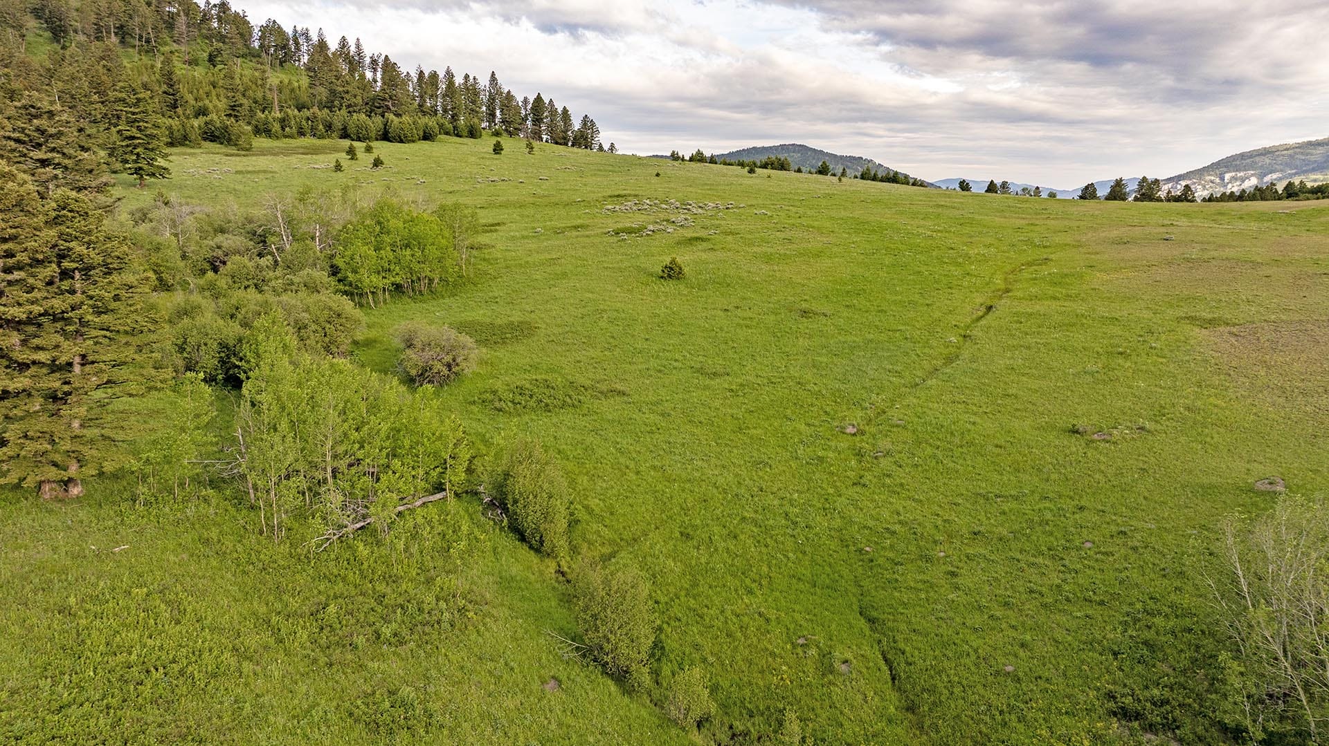 open space meadow north bridger hunting retreat