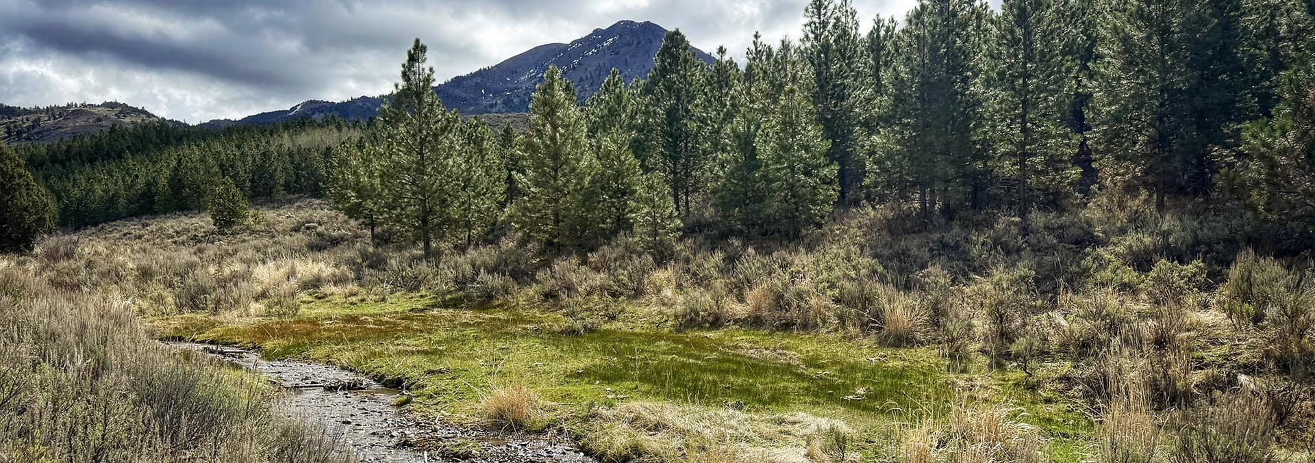 oregon large acreage for sale ironside castle rock ranch