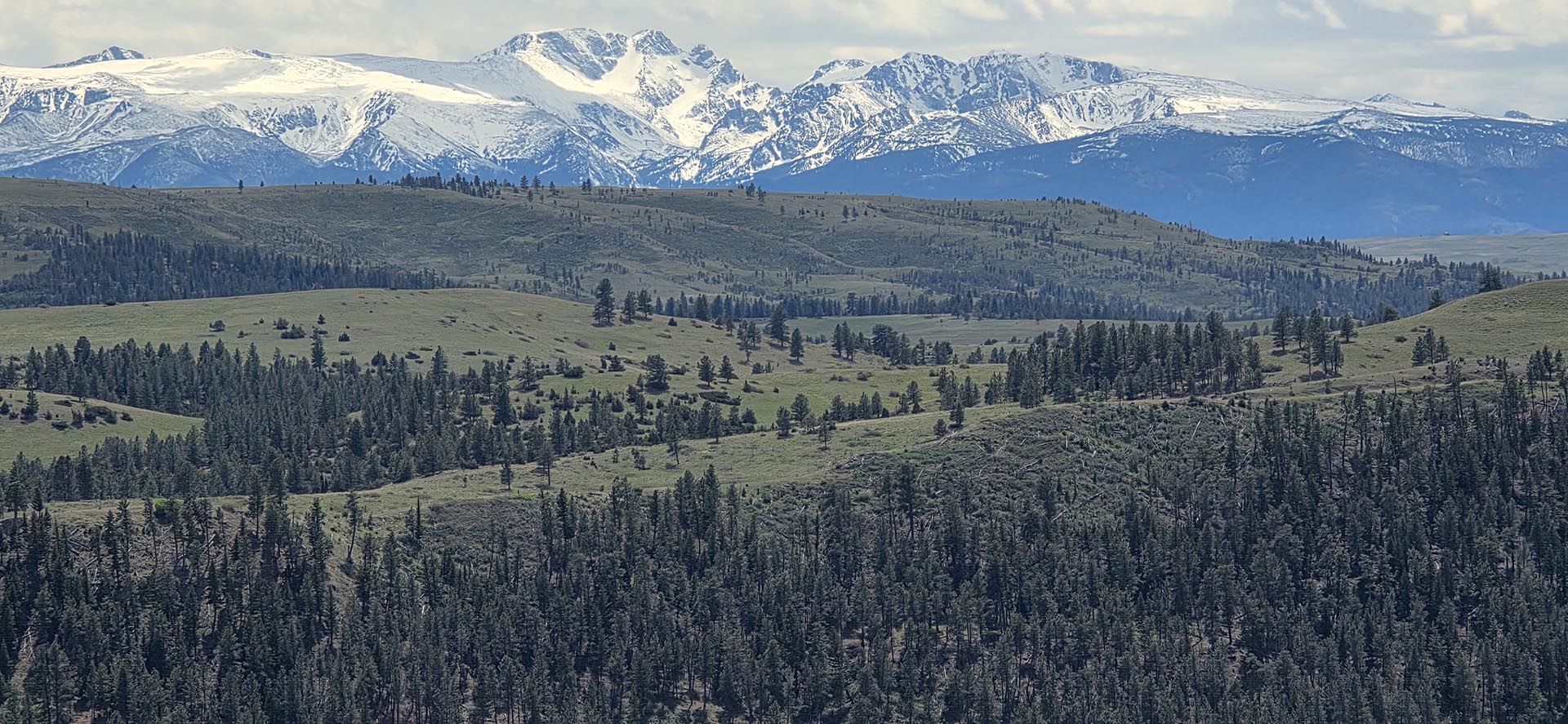 panoramic mountain view land for sale montana springtime ranch on the yellowstone river (2)