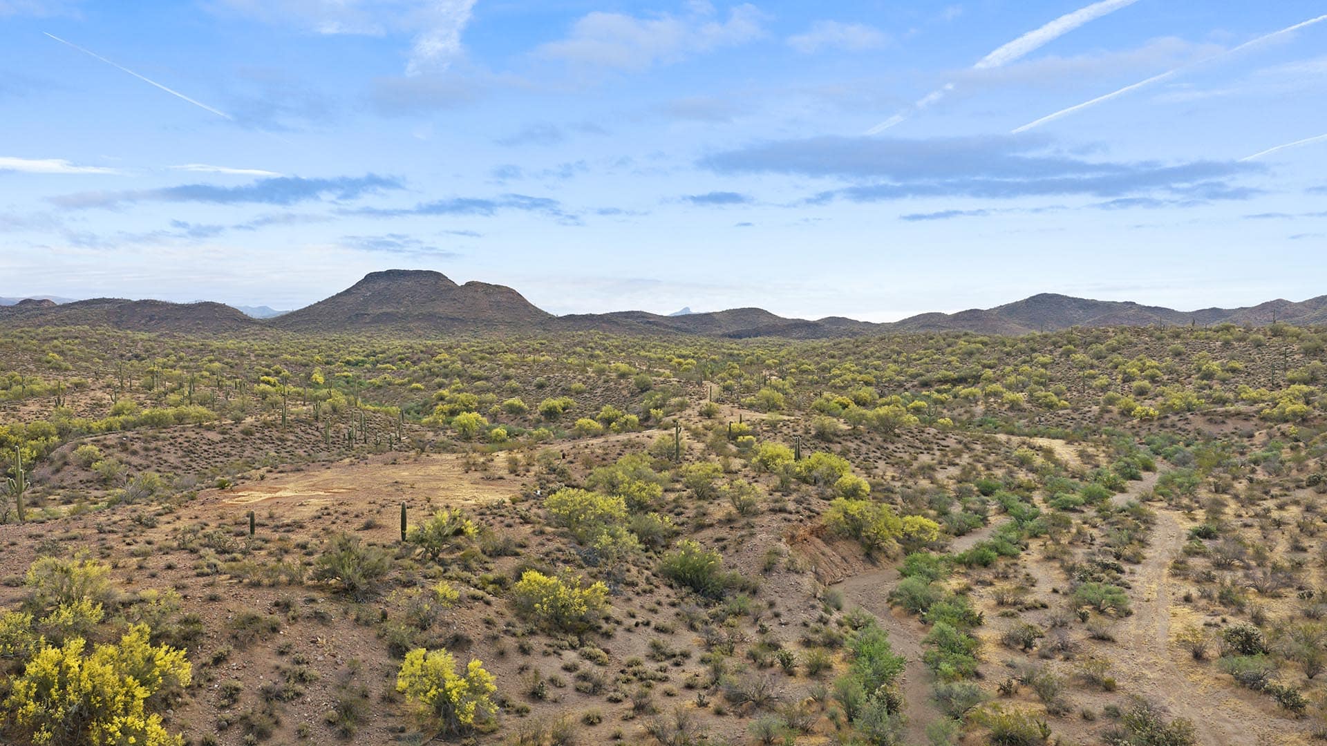 patented arizona rogers wash gold mine
