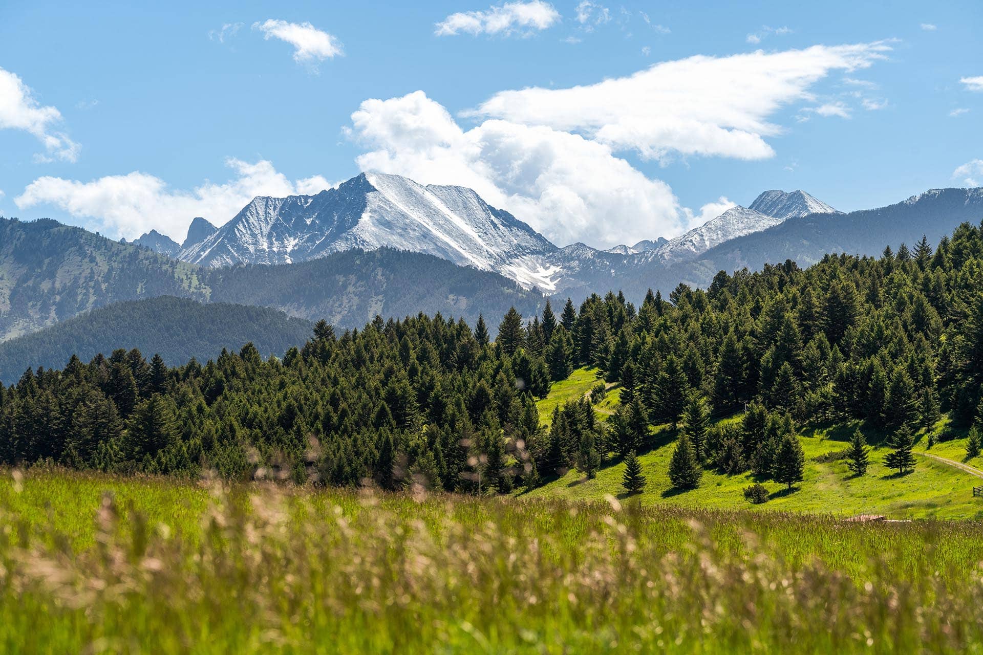 picturesque montana north fork horse creek