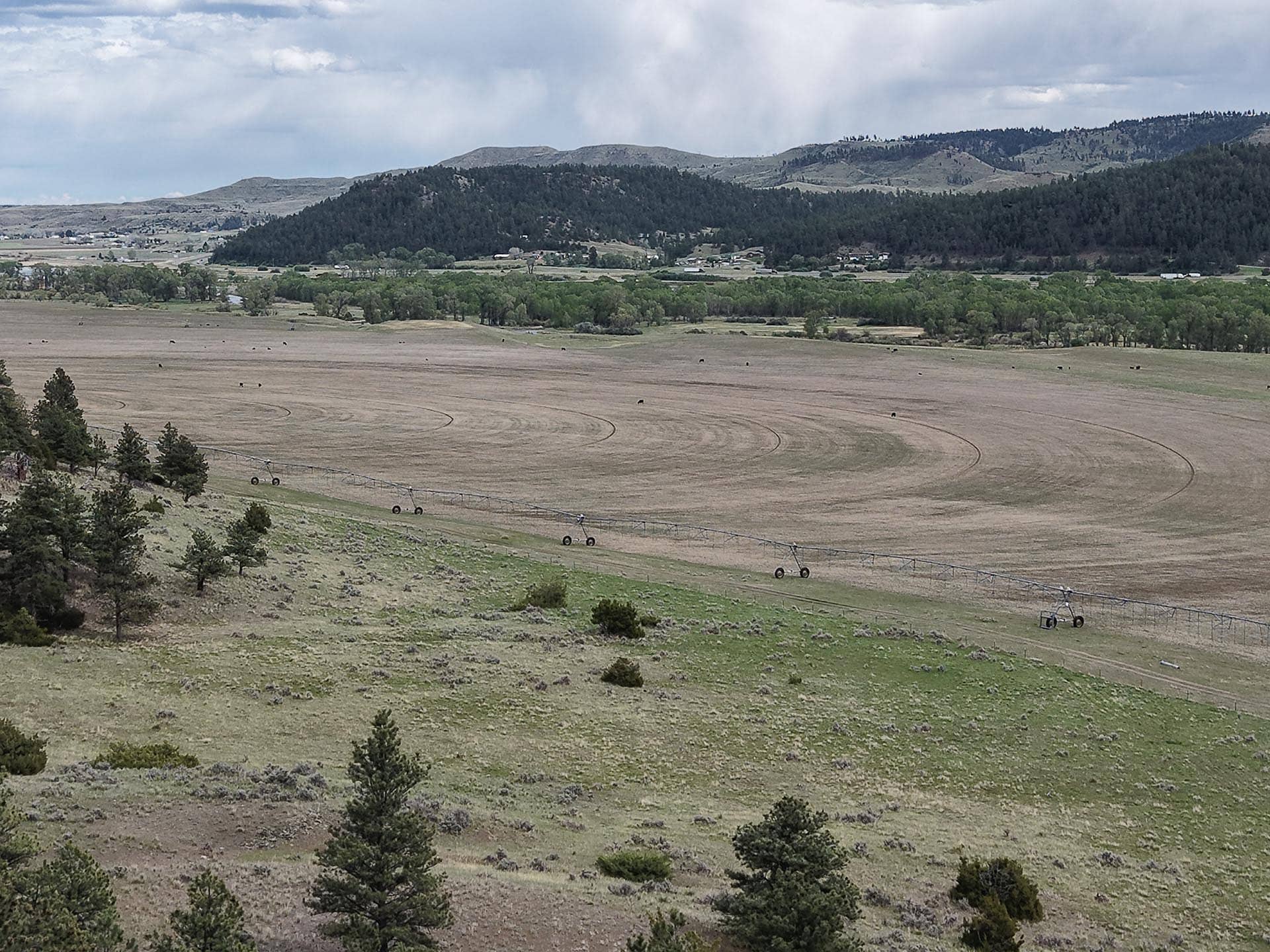 pivot irrigated land with mountain views montana springtime ranch on the yellowstone river