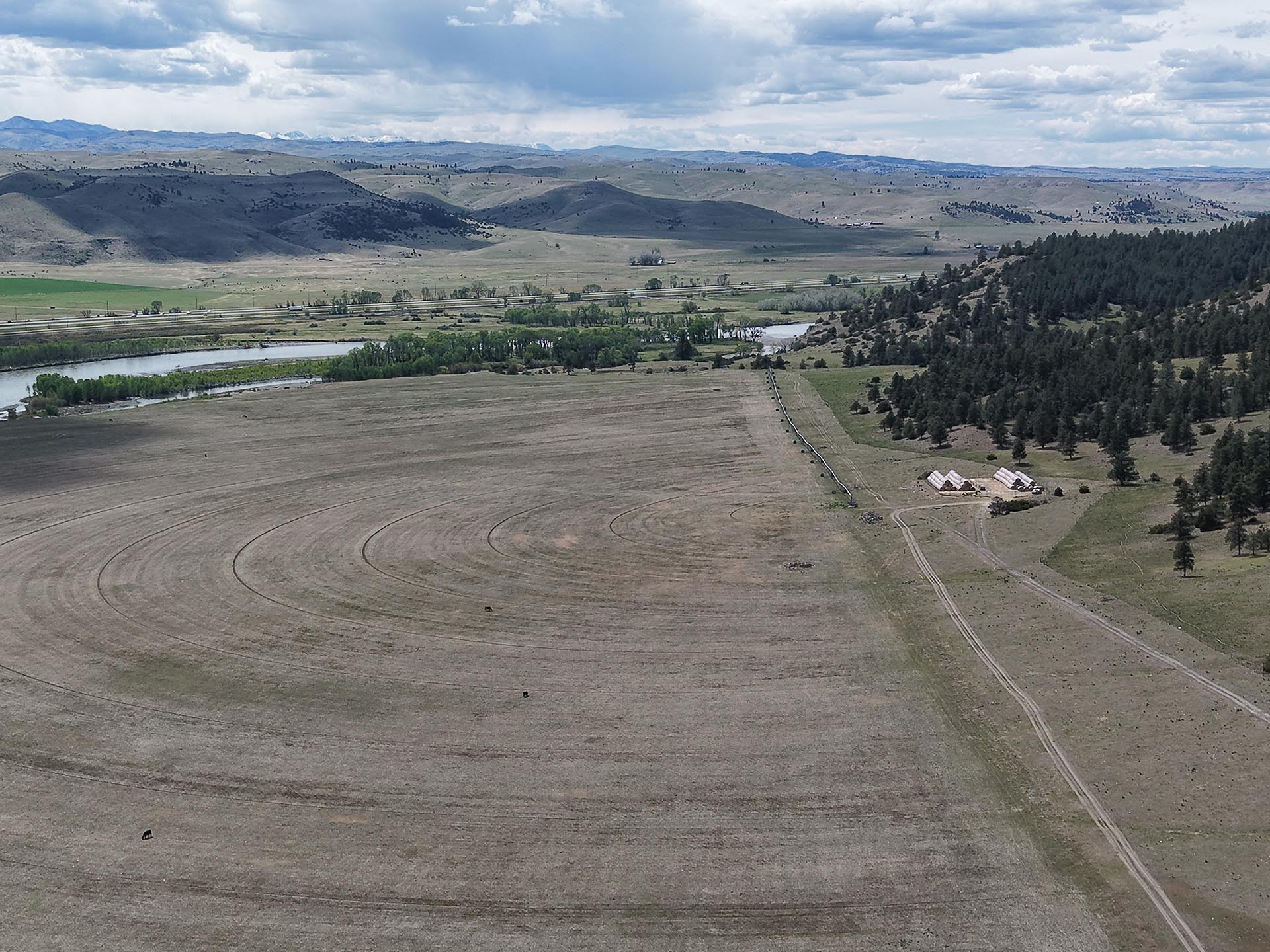 pivot irrigated land with ranch buildings montana springtime ranch on the yellowstone river
