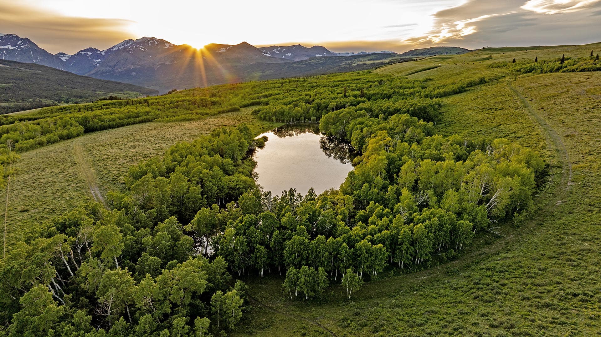 pond surrounded by trees land montana two medicine legacy ranch