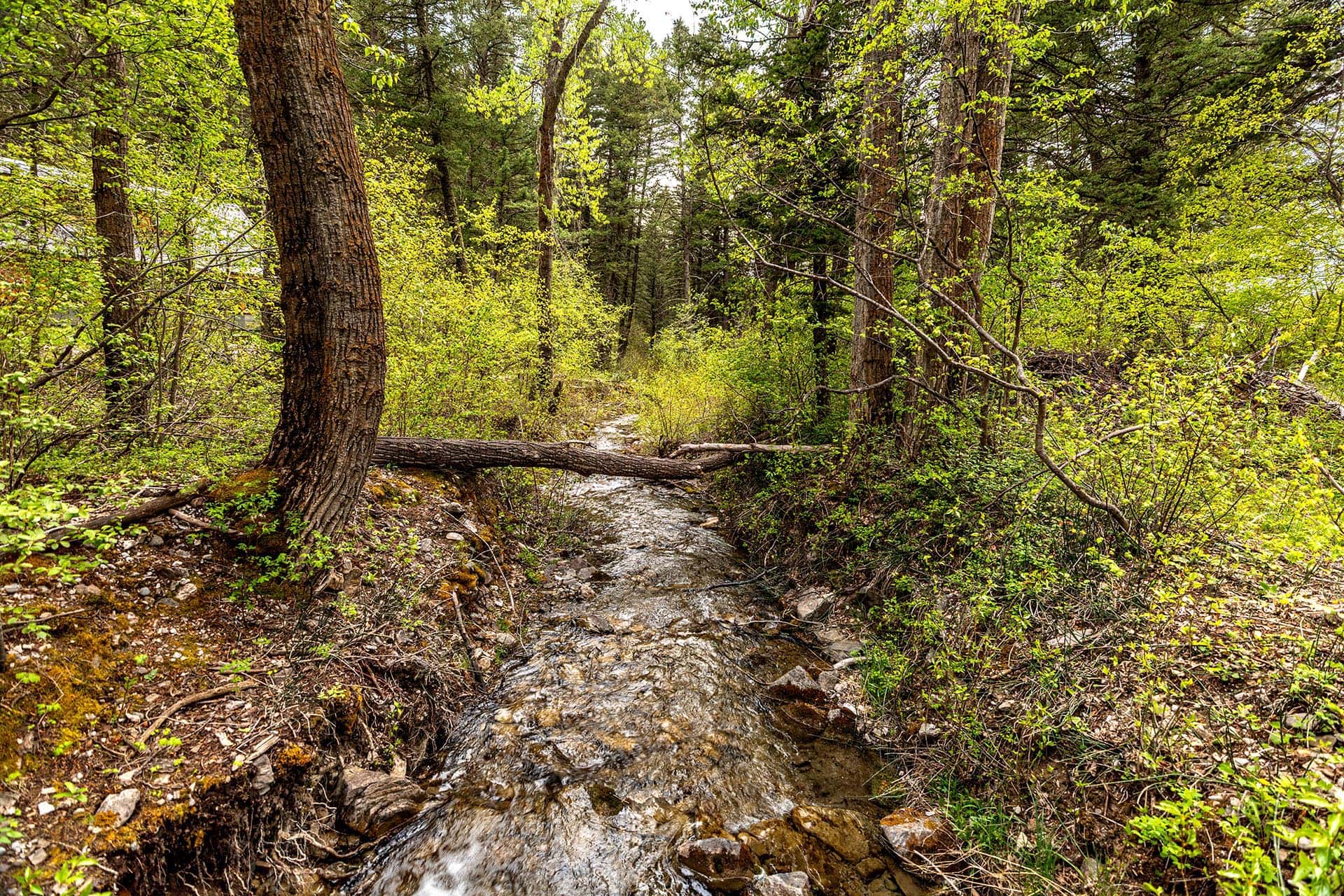 private stream property for sale montana bozeman creekside hideaway