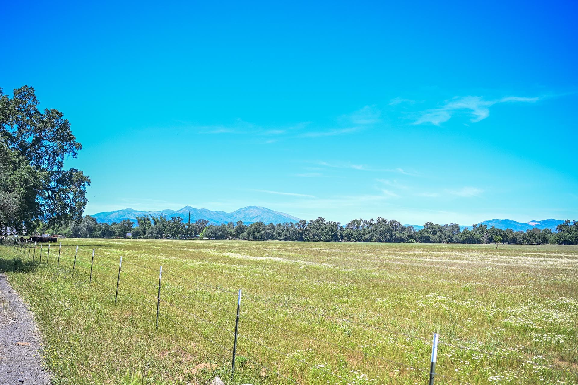 property for sale california churn creek ranch
