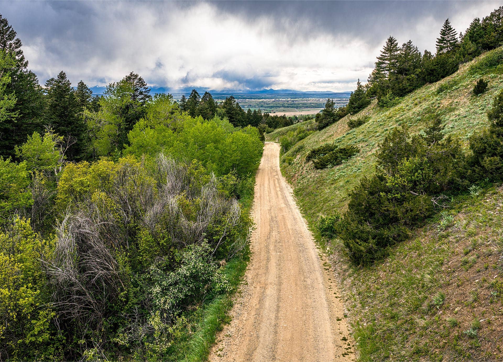 property with private access road through forest montana bozeman creekside hideaway