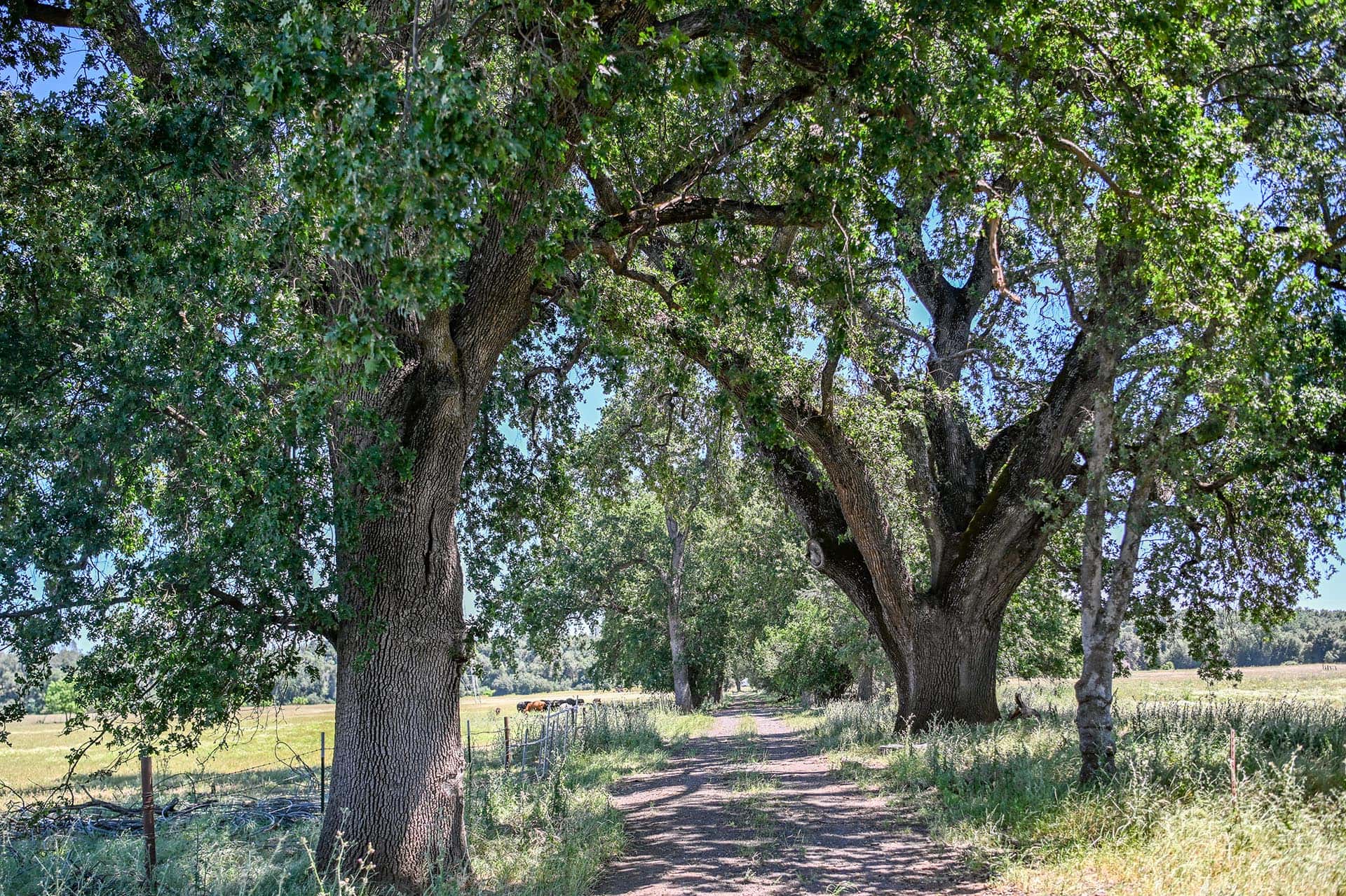 ranch for sale california churn creek ranch