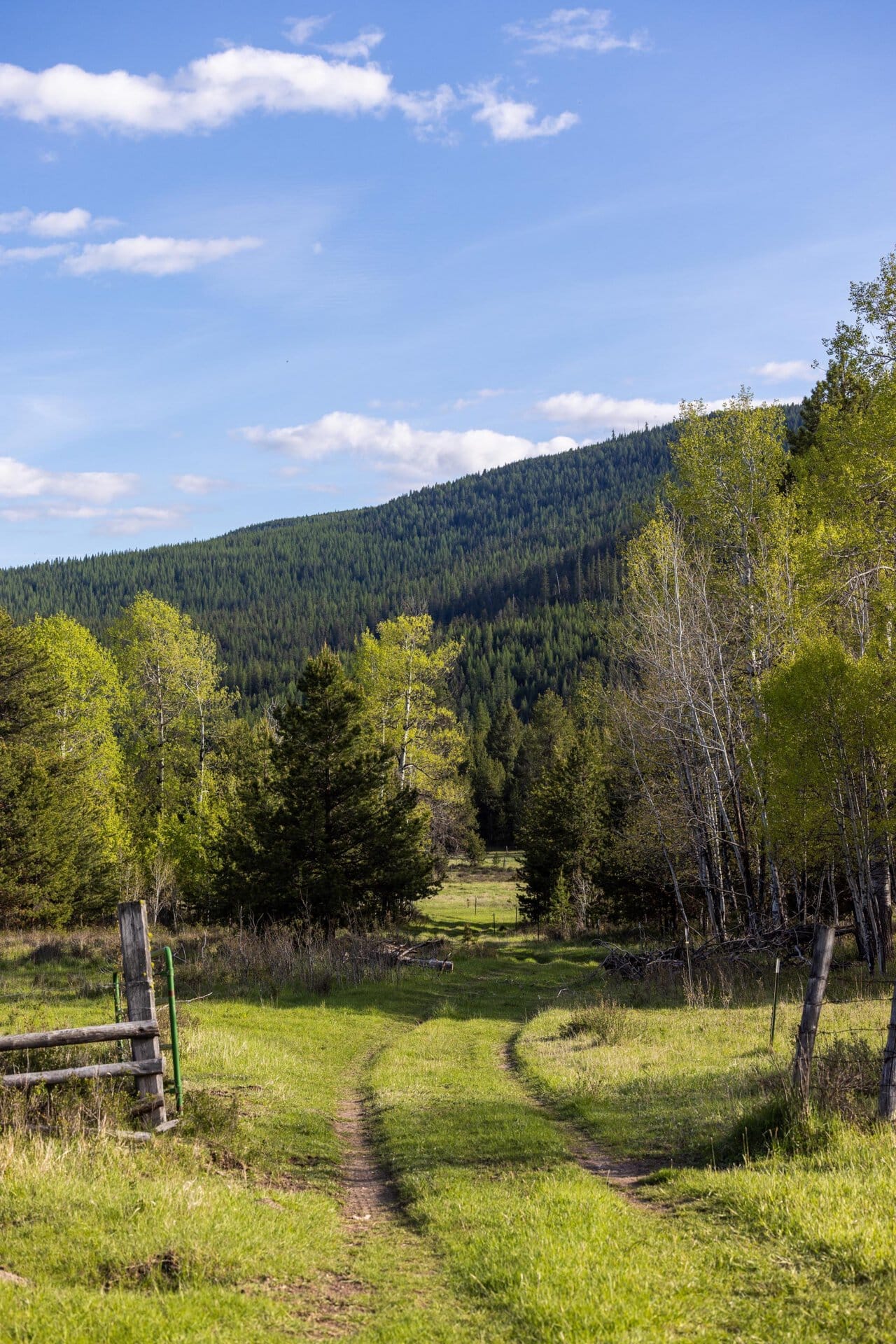 ranch road montana riley creek basin