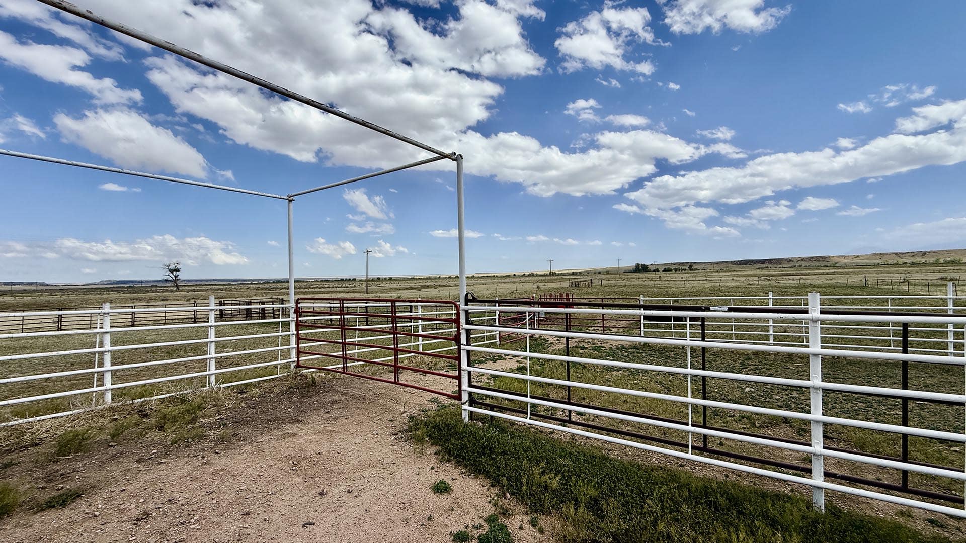 Wide rural scene of white fenced corral with a red gate, under a blue sky with scattered clouds; open grassland stretches to the horizon with a lone tree in the distance.