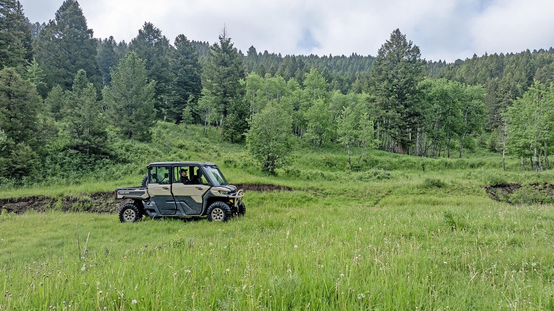 recreational property with meadow and forest montana north bridger hunting retreat