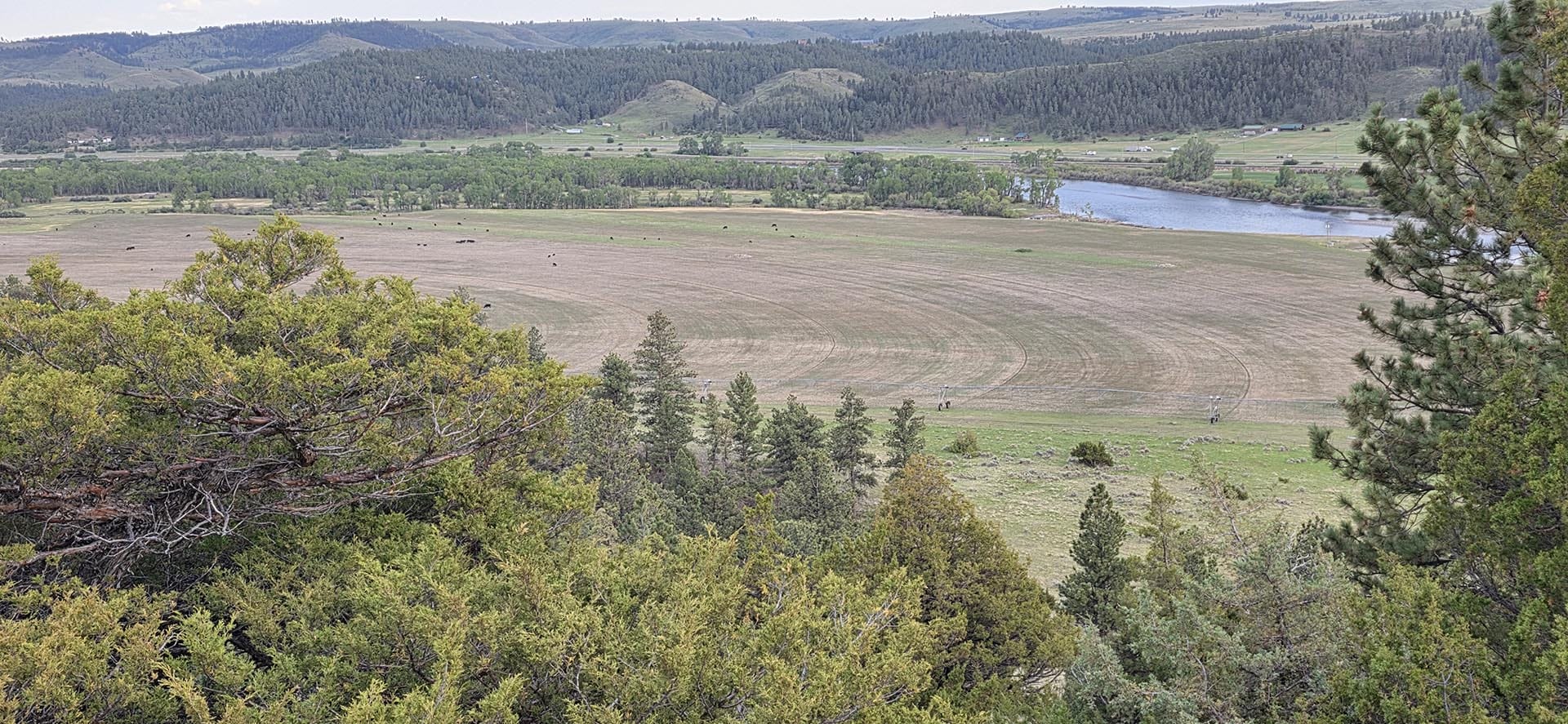 river bend cultivated field for sale montana springtime ranch on the yellowstone river