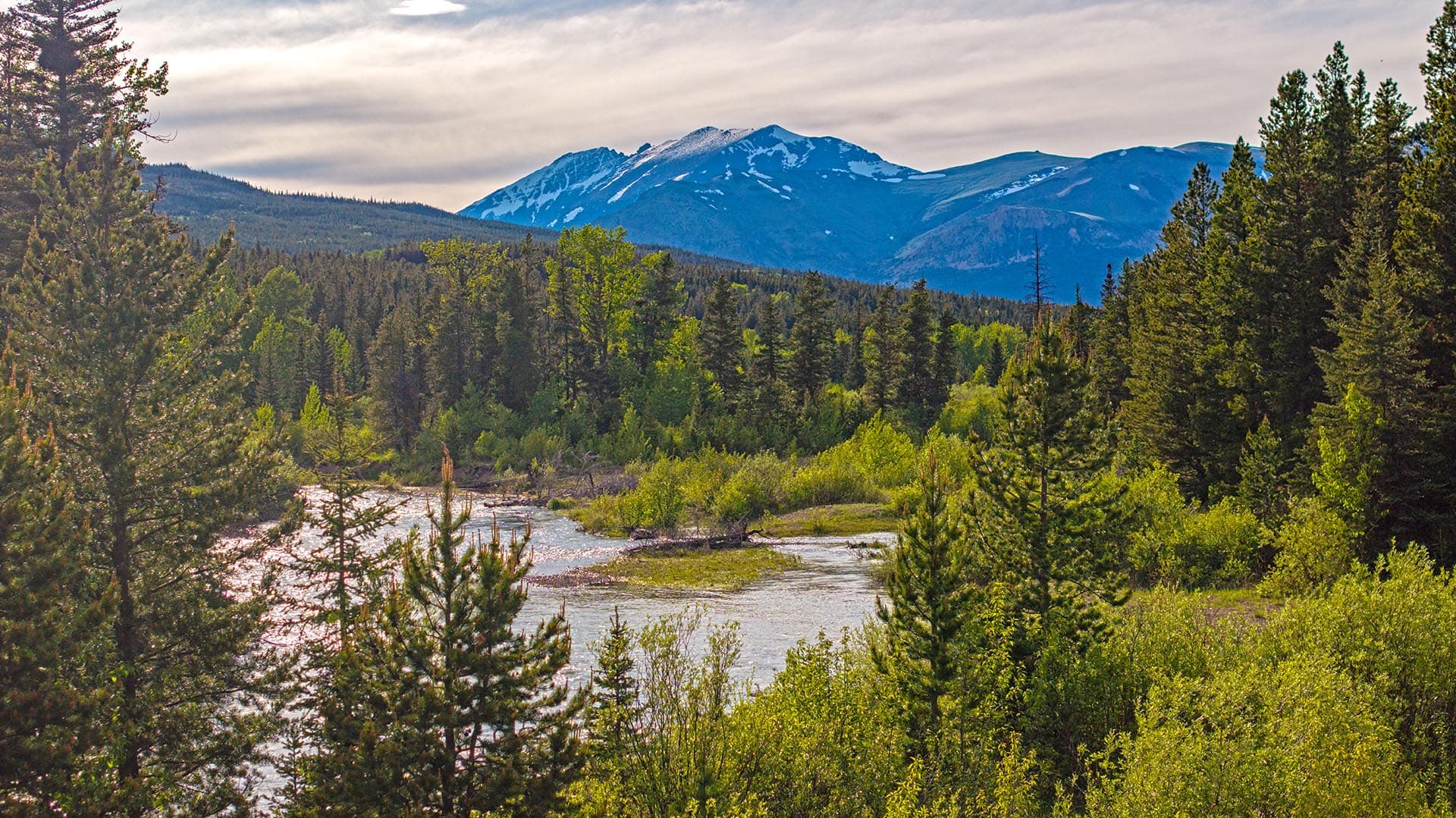 river frontage forest land montana two medicine legacy ranch