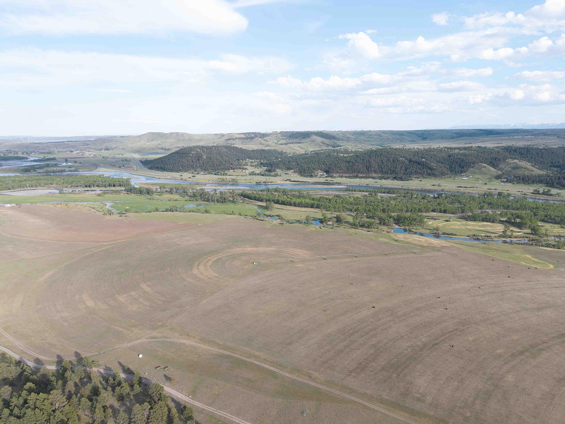 river frontage land montana springtime ranch on the yellowstone river