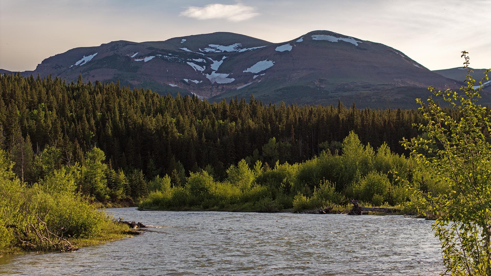 river frontage timber land montana two medicine legacy ranch