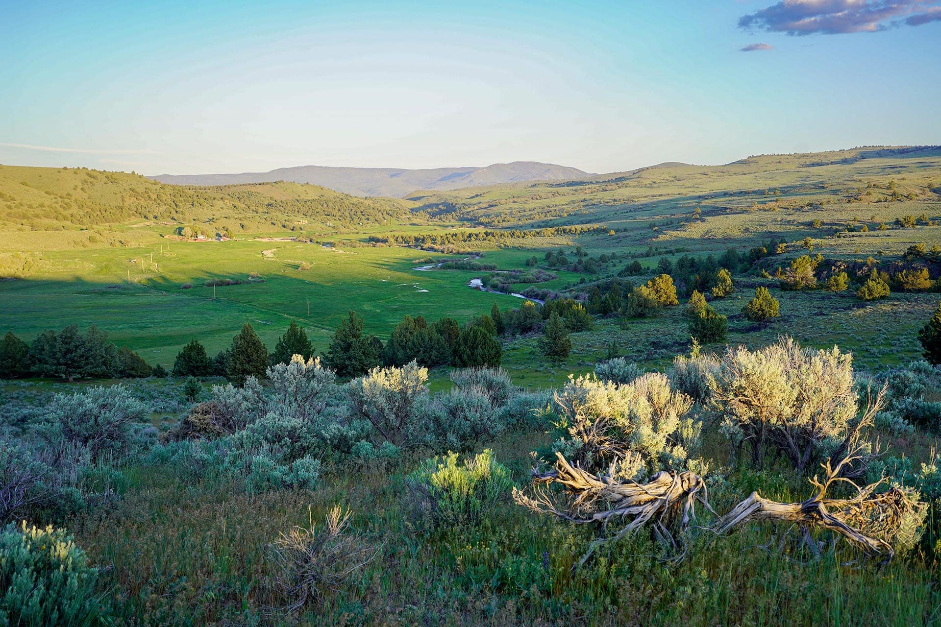 river valley meadow property for sale oregon ironside castle rock ranch