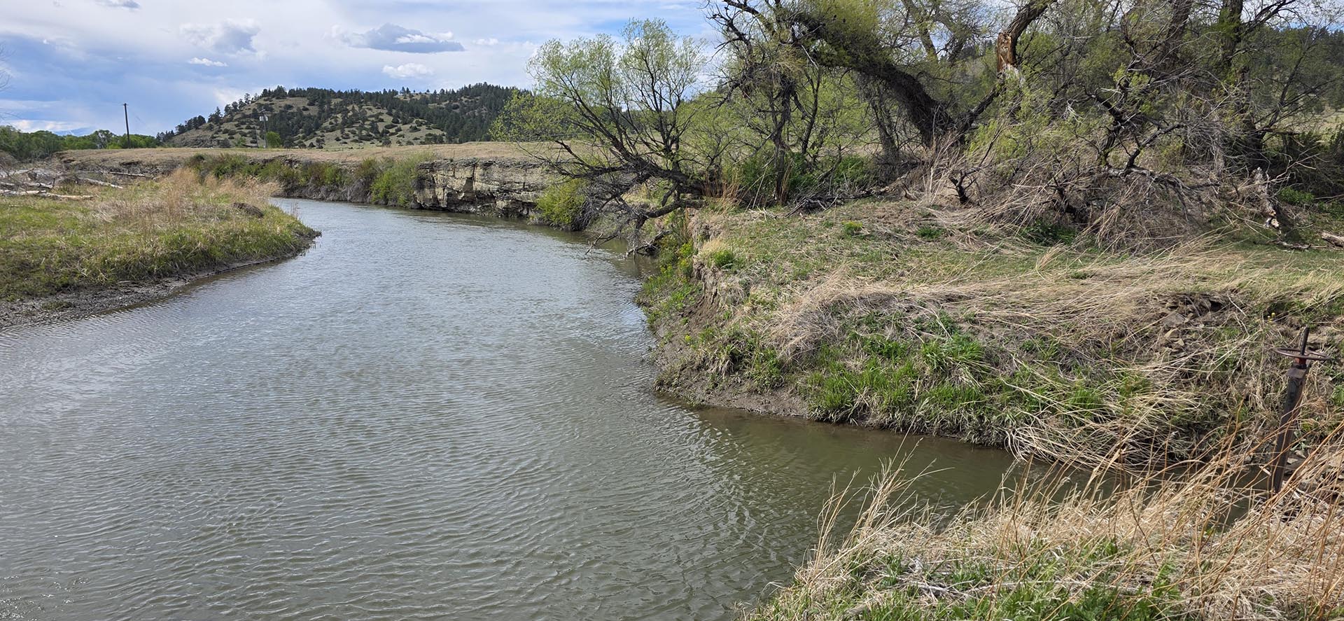 river view montana springtime ranch on the yellowstone river