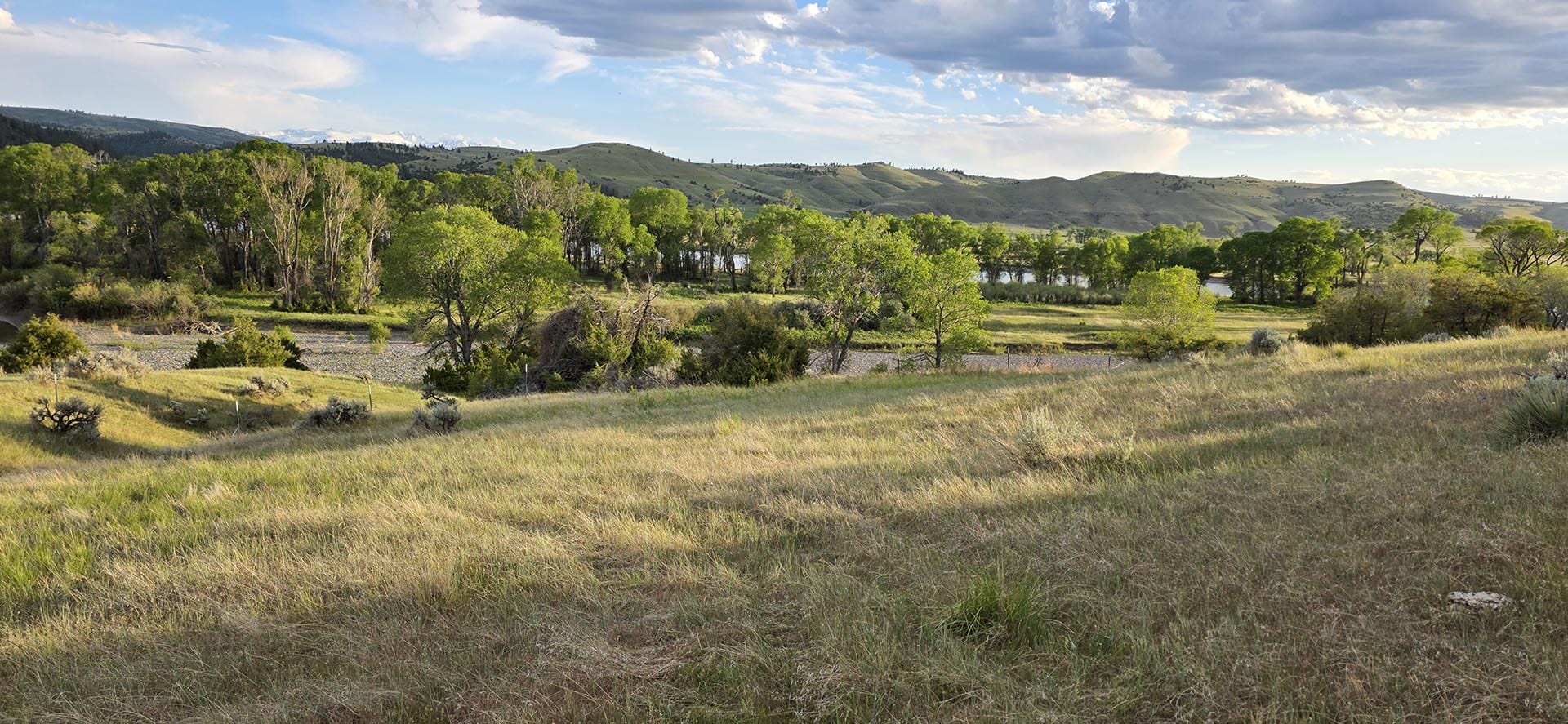 riverfront pasture land montana springtime ranch on the yellowstone river