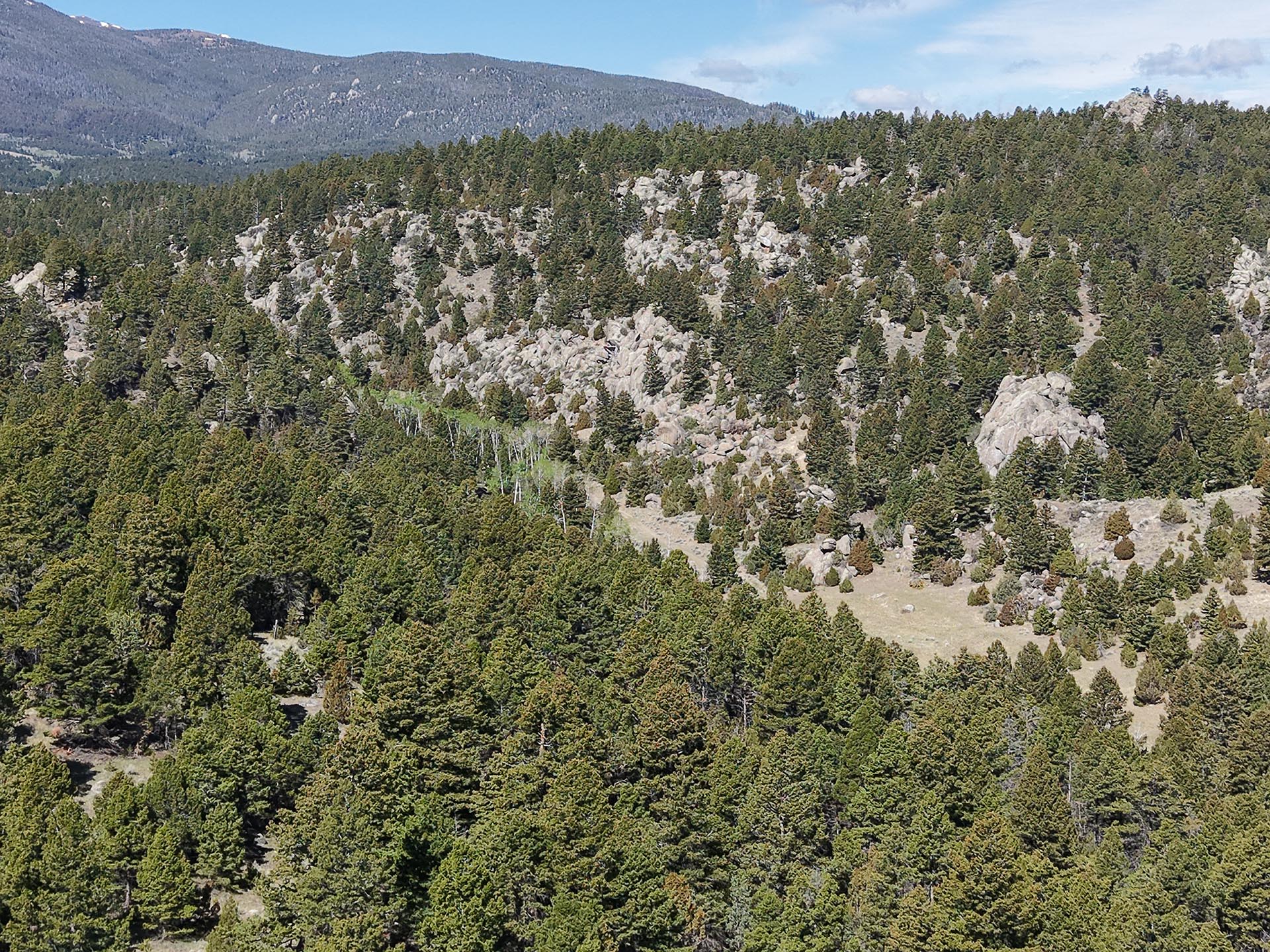 rocky forested land montana little fish creek lookout