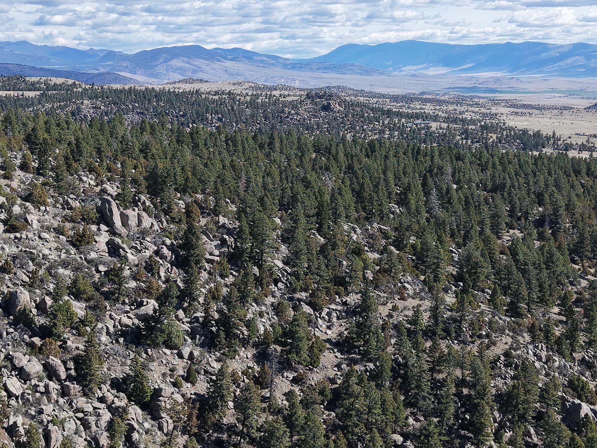 rocky timbered land for sale montana little fish creek lookout
