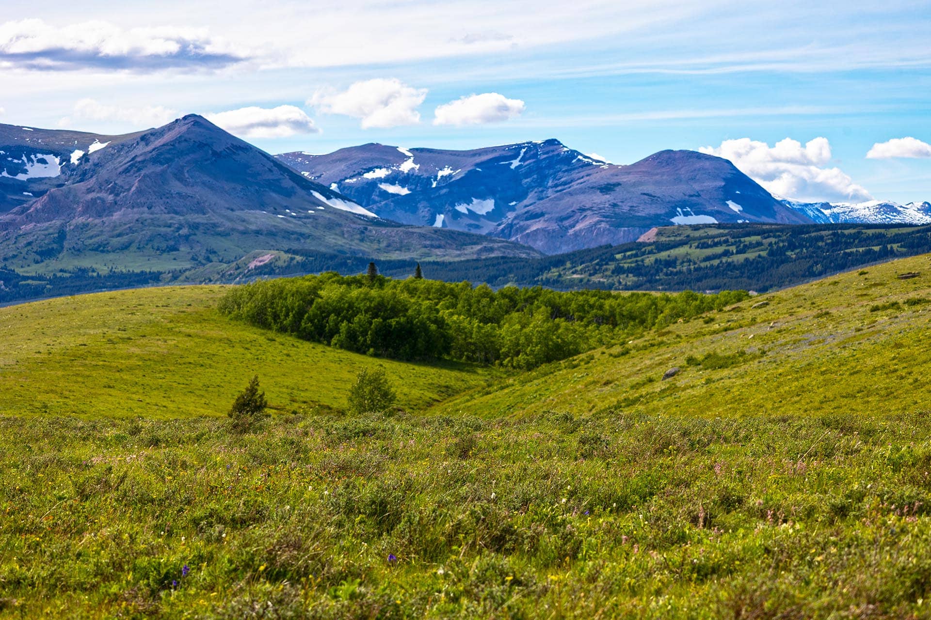 rolling green hills acreage for sale montana two medicine legacy ranch