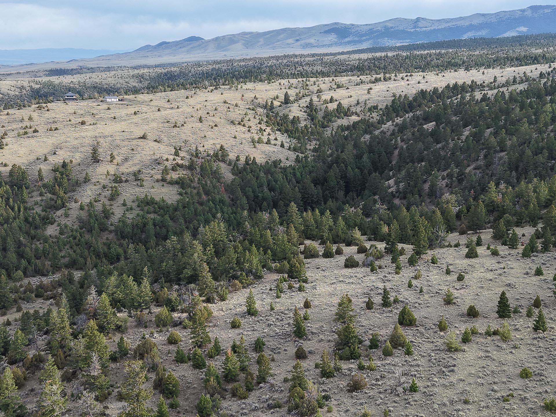 rolling hills land for sale montana little fish creek lookout