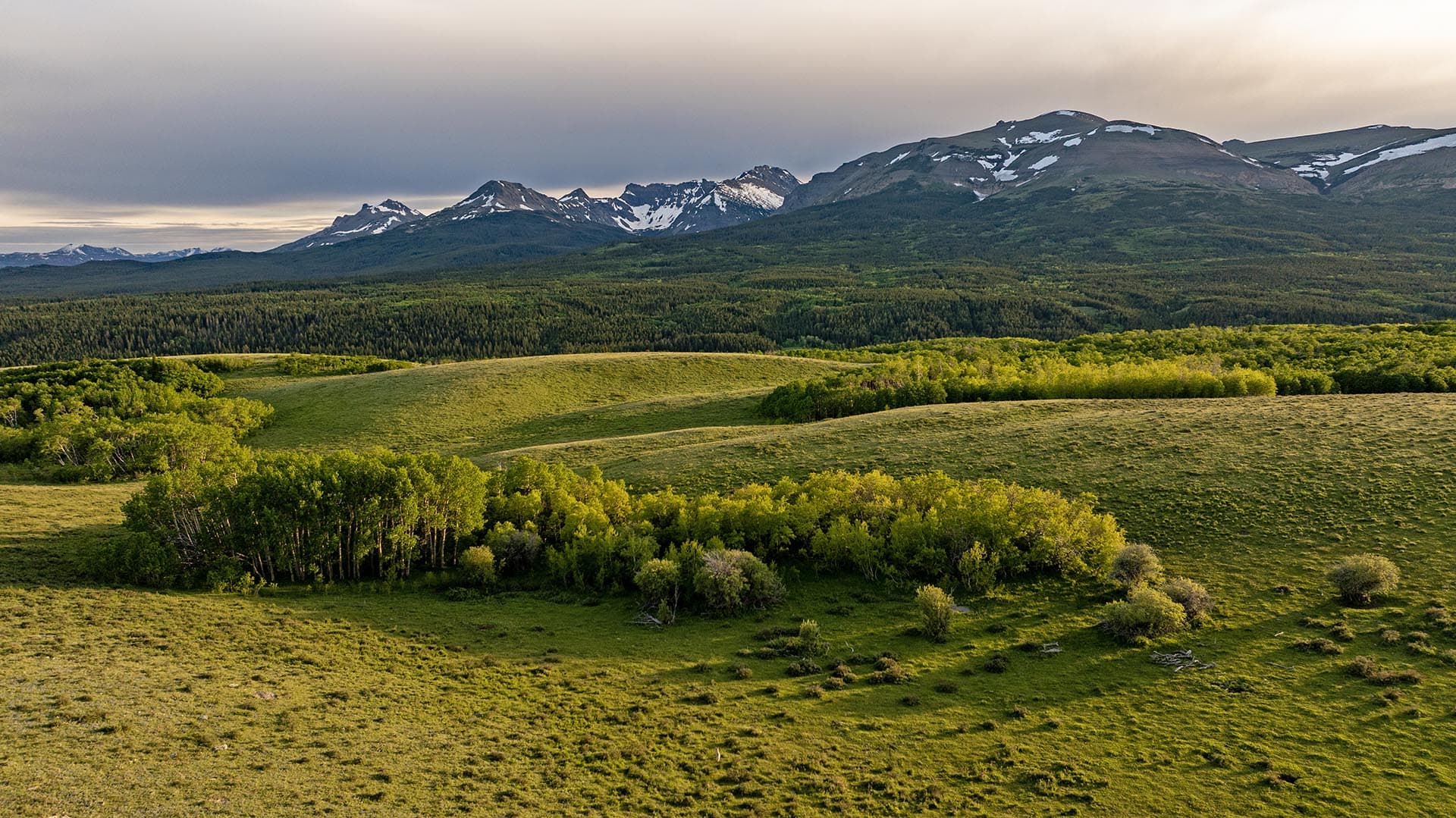 rolling hills mountain view pasture land montana two medicine legacy ranch