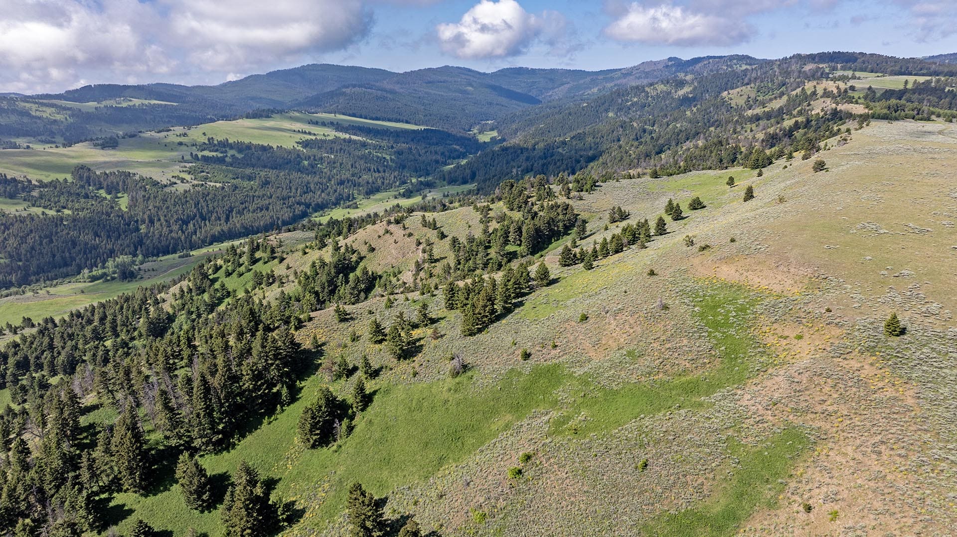rolling hills with scattered trees land montana north bridger hunting retreat