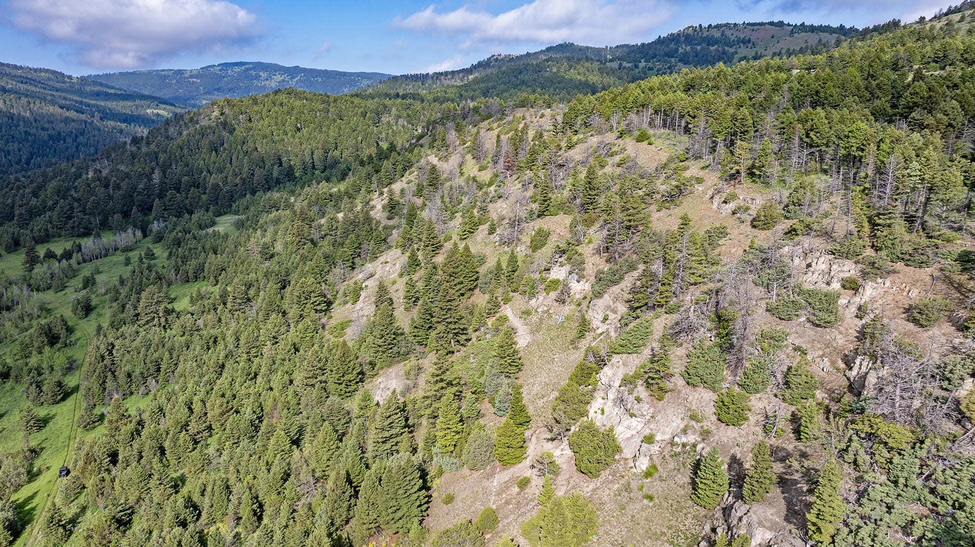 rugged timbered hillside land montana north bridger hunting retreat