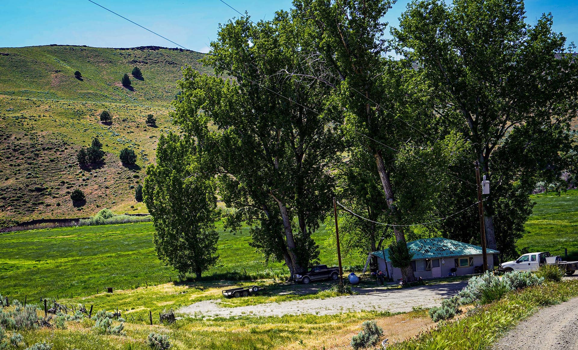 Rural scene with a small house beneath large trees, power lines crossing a bright blue sky and a green hillside in the background.