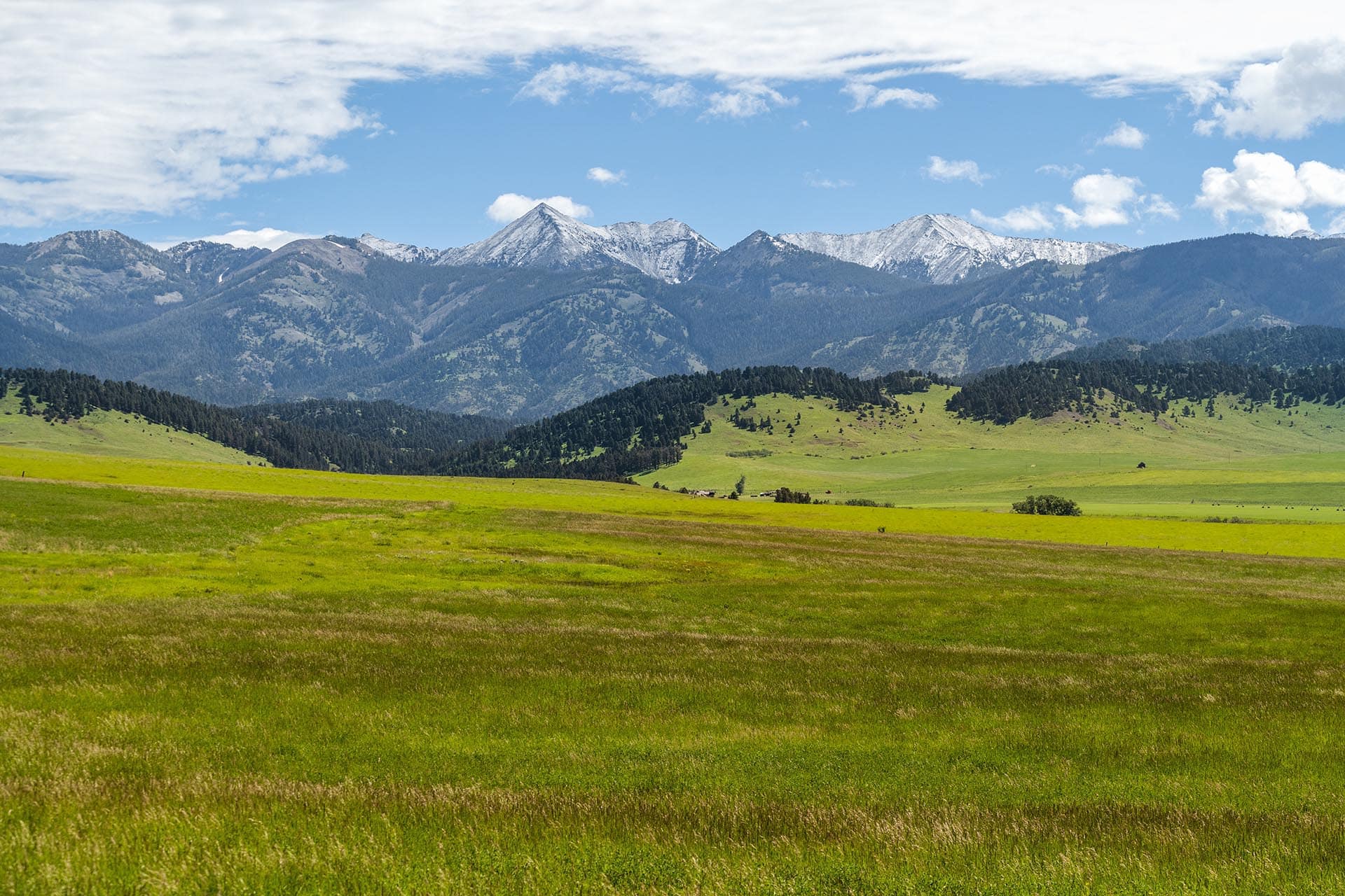 sage meadow montana north fork horse creek