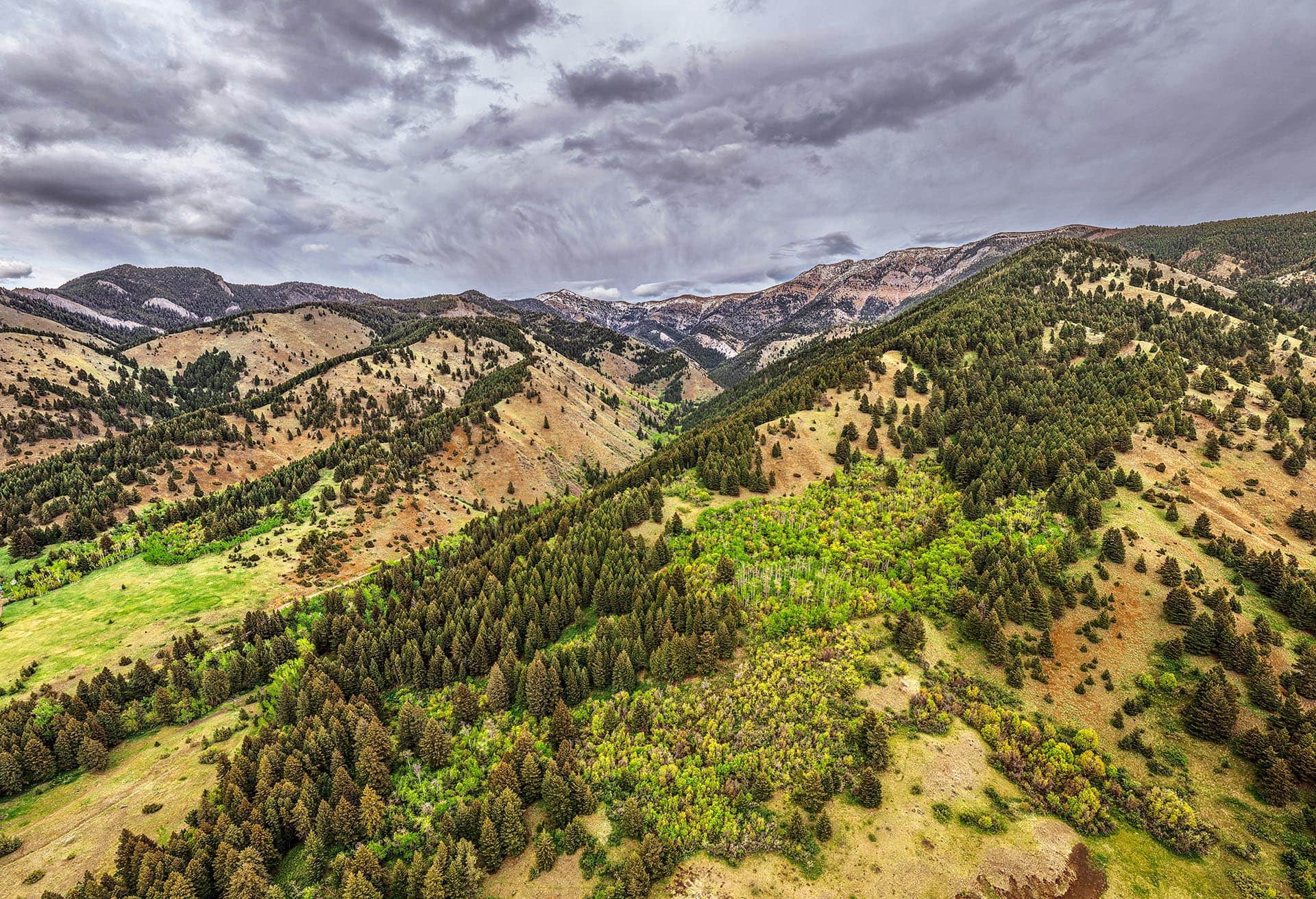 scenic mountain land for sale montana bozeman creekside hideaway