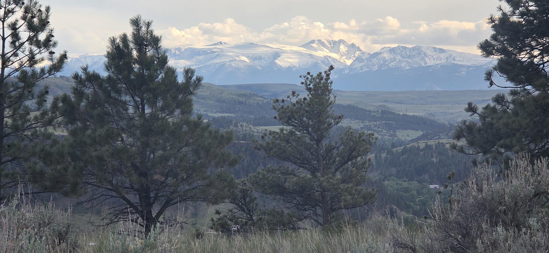 scenic mountain land for sale montana springtime ranch on the yellowstone river