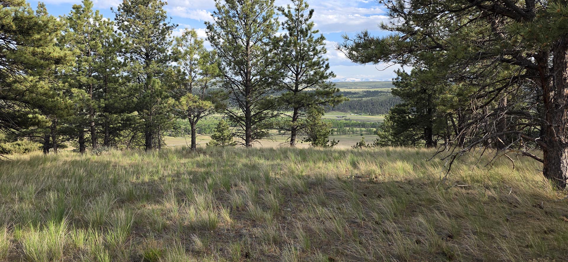 scenic mountain view land for sale montana springtime ranch on the yellowstone river