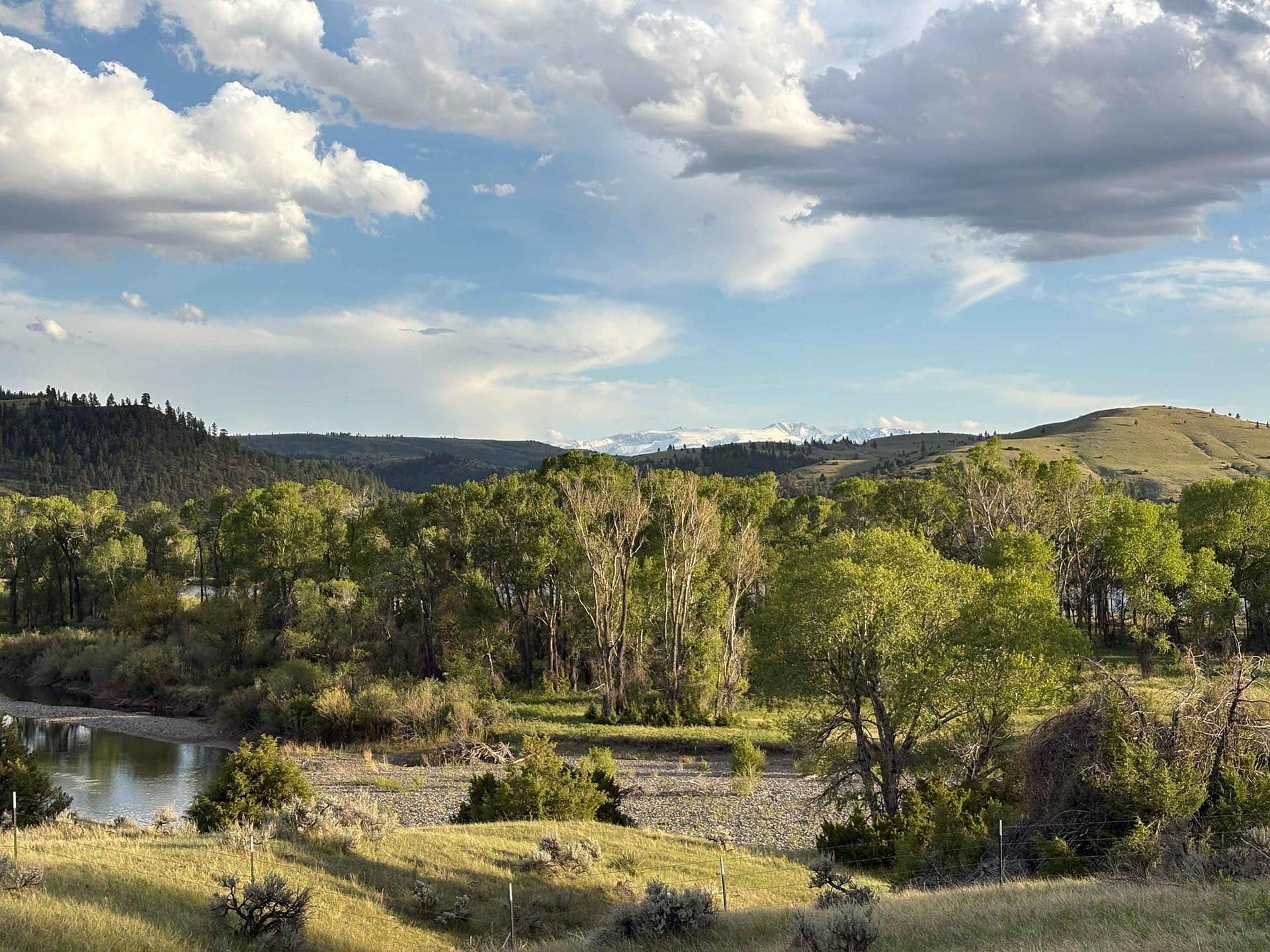 scenic river frontage land for sale montana springtime ranch on the yellowstone river (2)