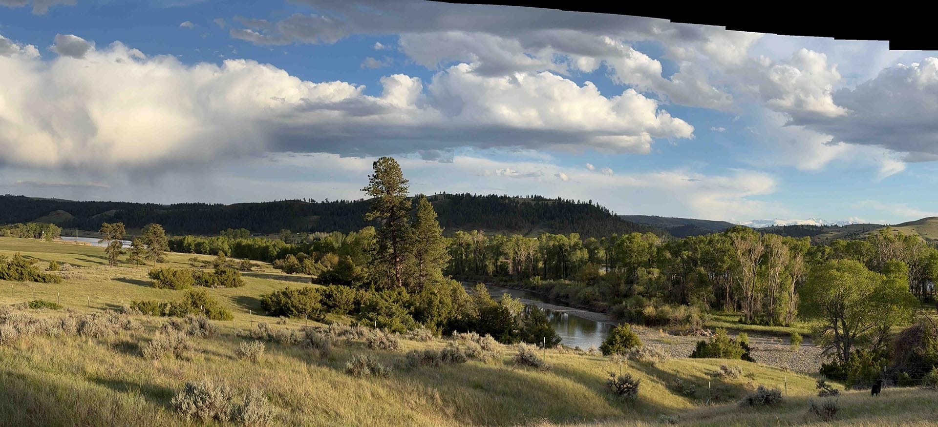 scenic river frontage land for sale montana springtime ranch on the yellowstone river