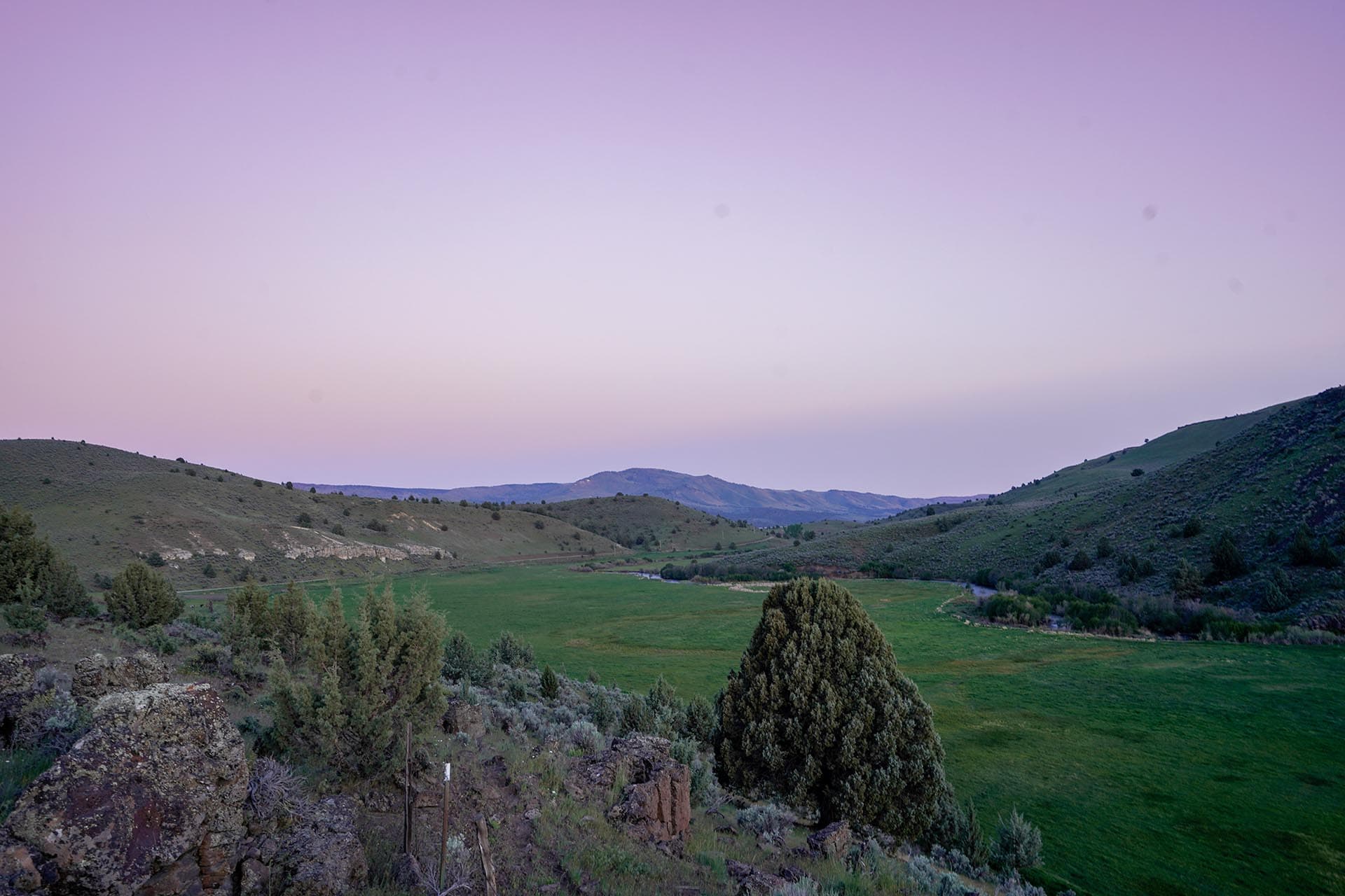 Green valley with rolling hills and scattered trees beneath a pastel purple sunset sky at dusk.