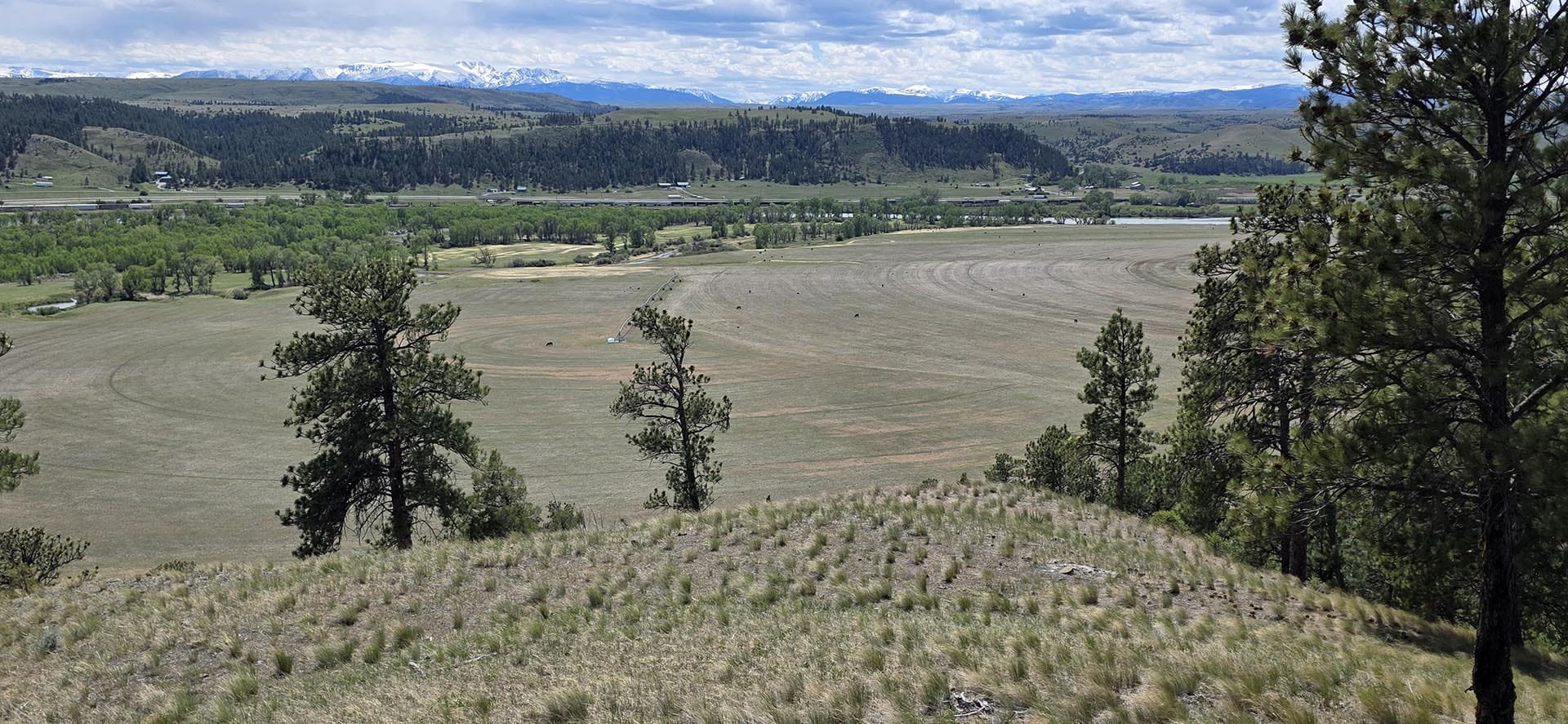 scenic valley view land montana springtime ranch on the yellowstone river