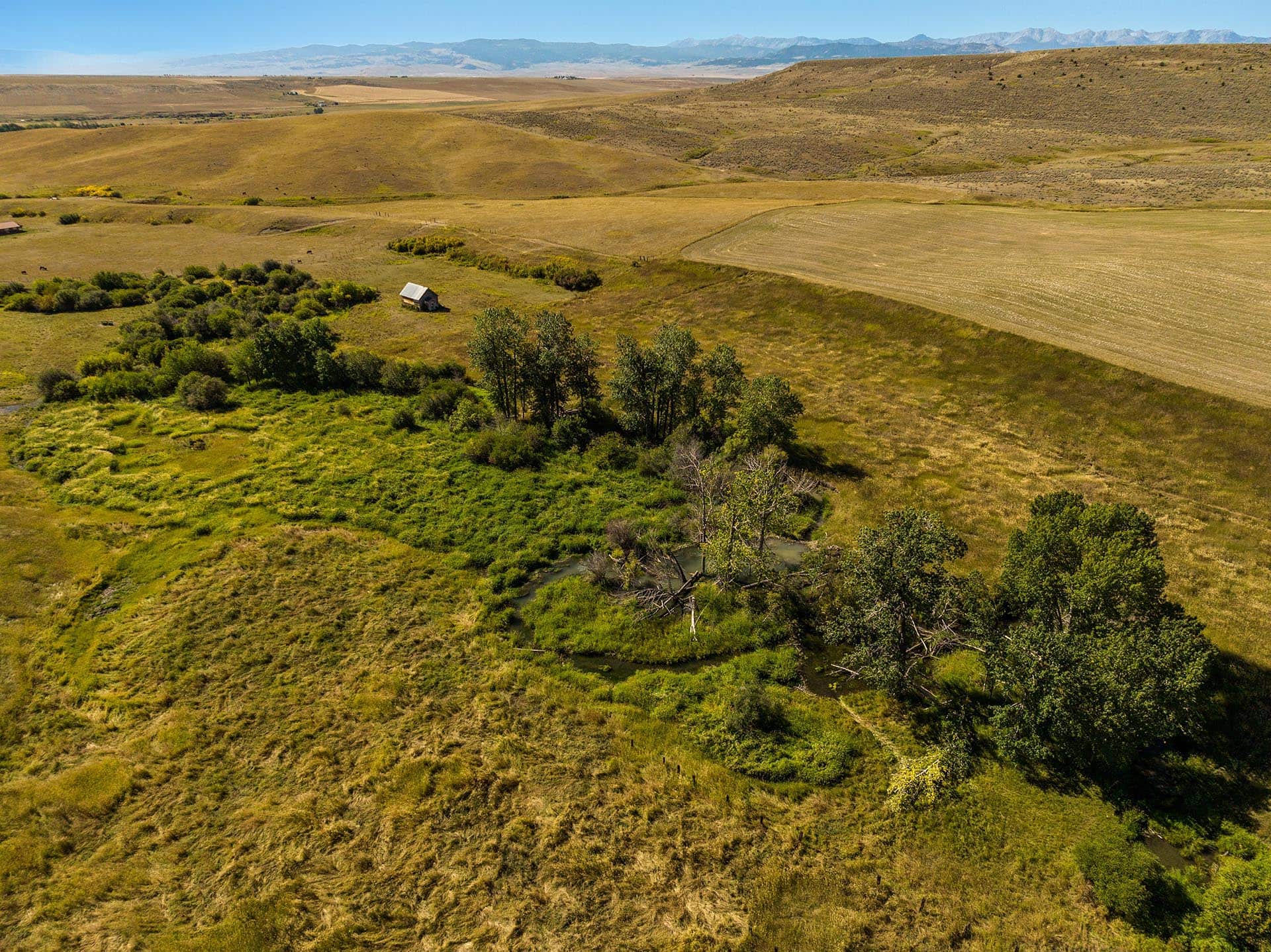 small creek montana north fork horse creek