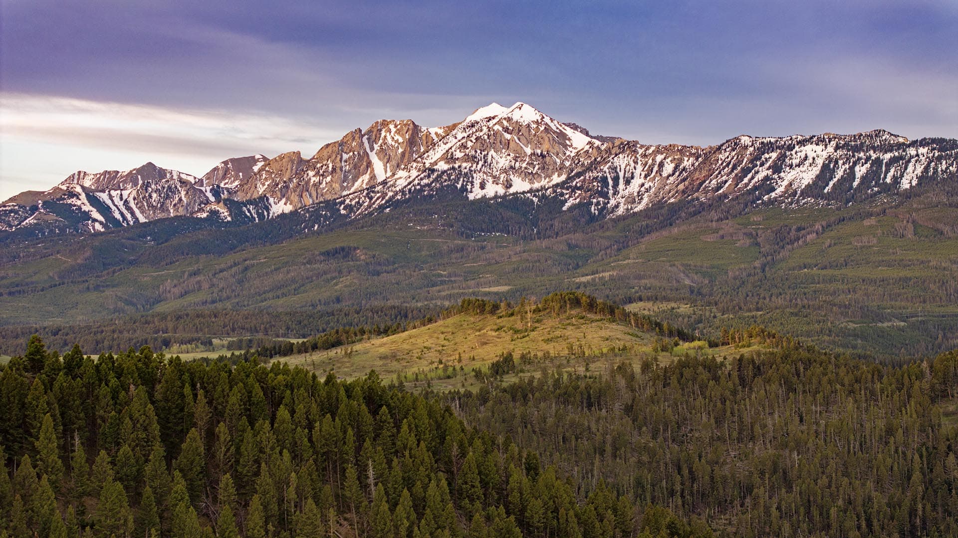 snow capped mountain view forested land montana east bridger preserve