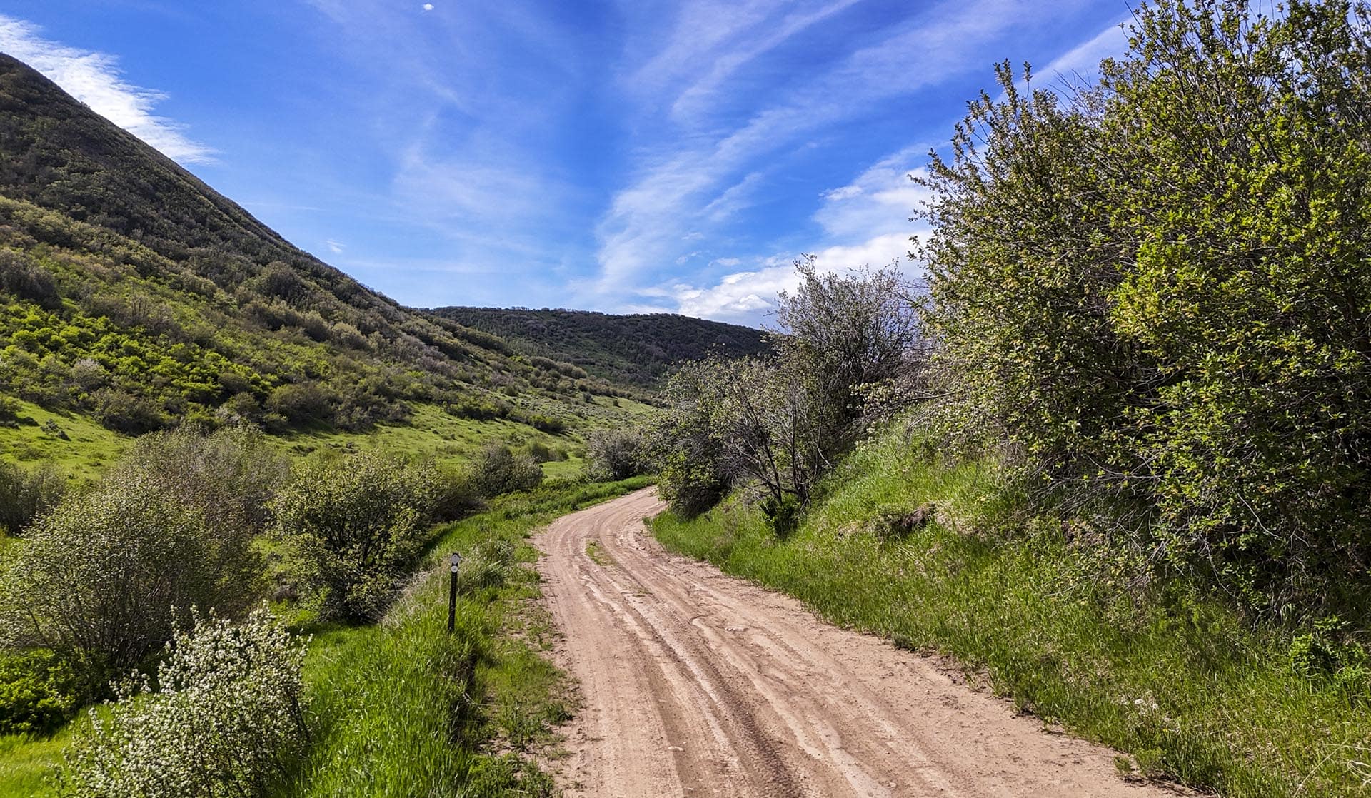 steamboat springs colorado doc utterback elk ranch