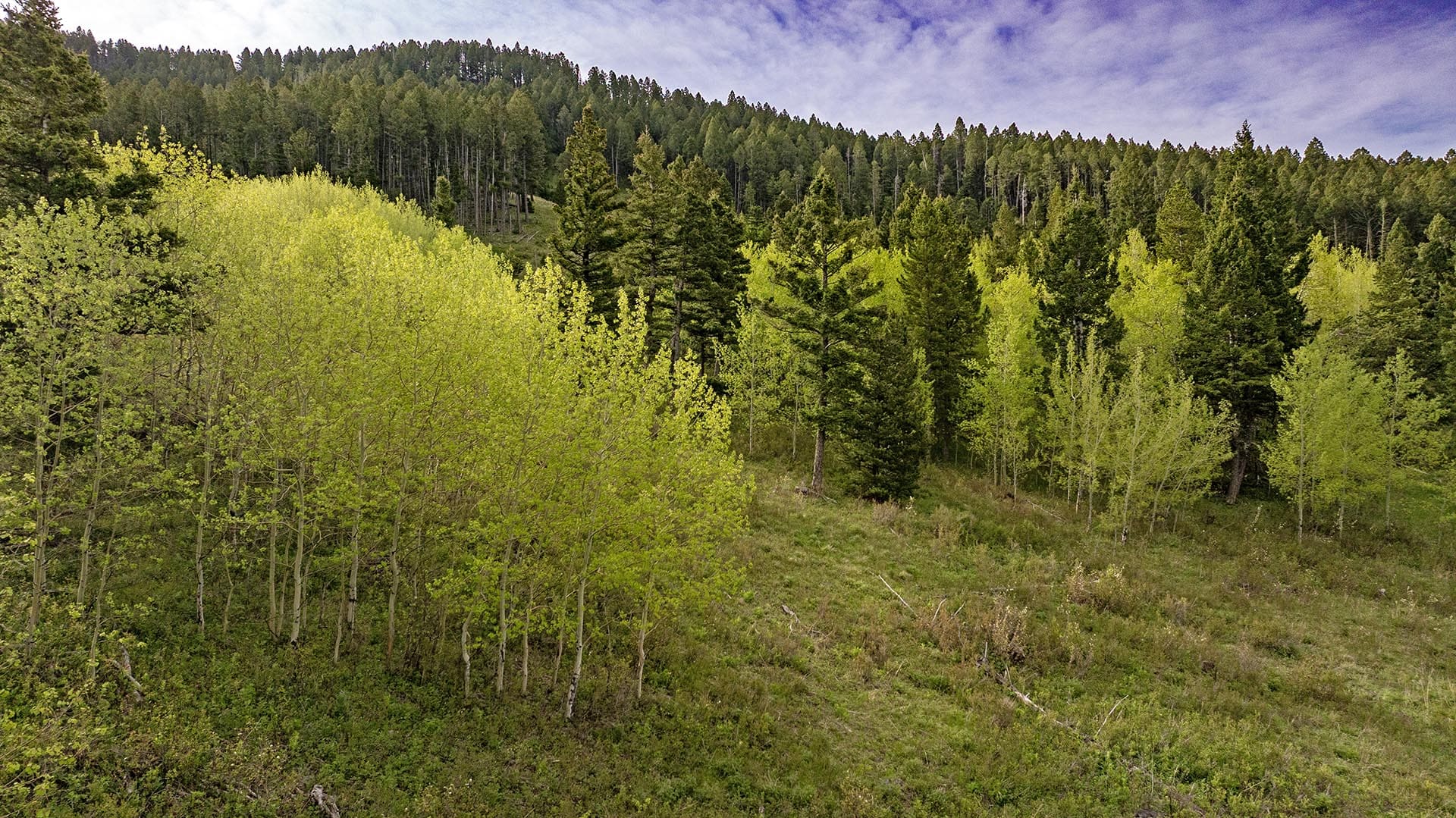 steep forested hillside land for sale montana east bridger preserve