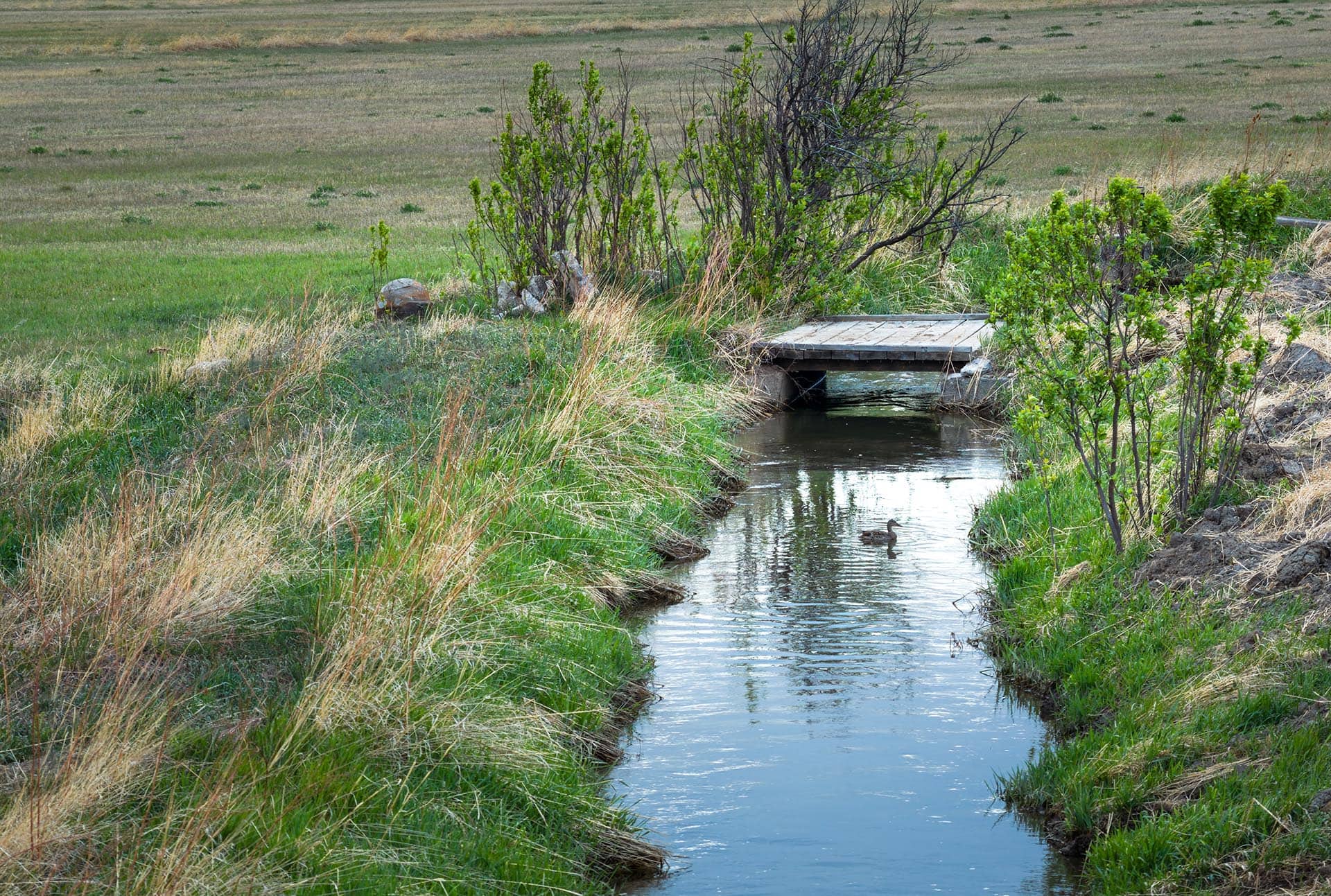 stream with footbridge and duck wildlife land montana stillwater riffle ranch