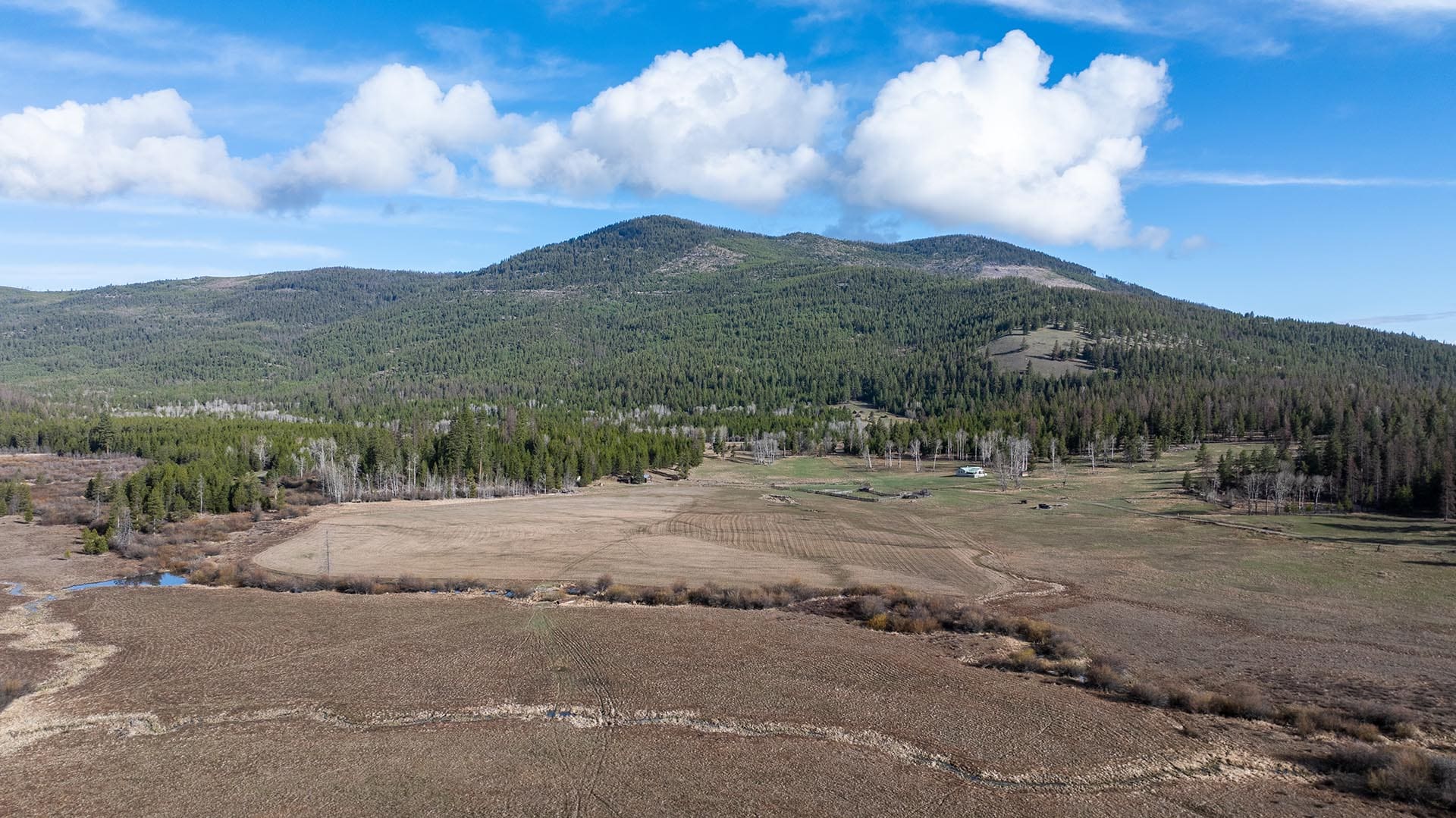summer pasture montana riley creek basin