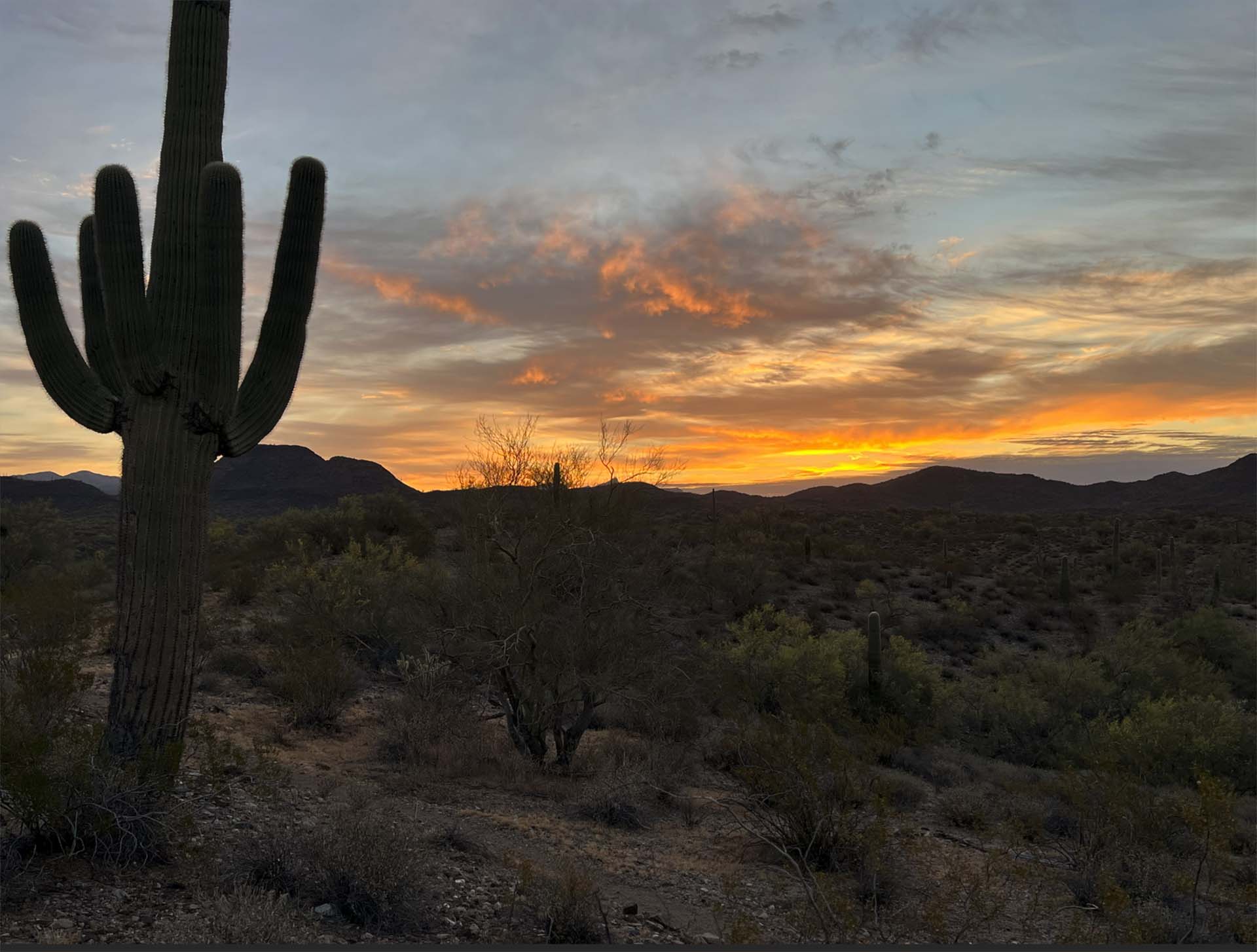 Desert landscape at sunset with a tall saguaro cactus on the left and rolling mountains in the distance under an orange-blue sky.