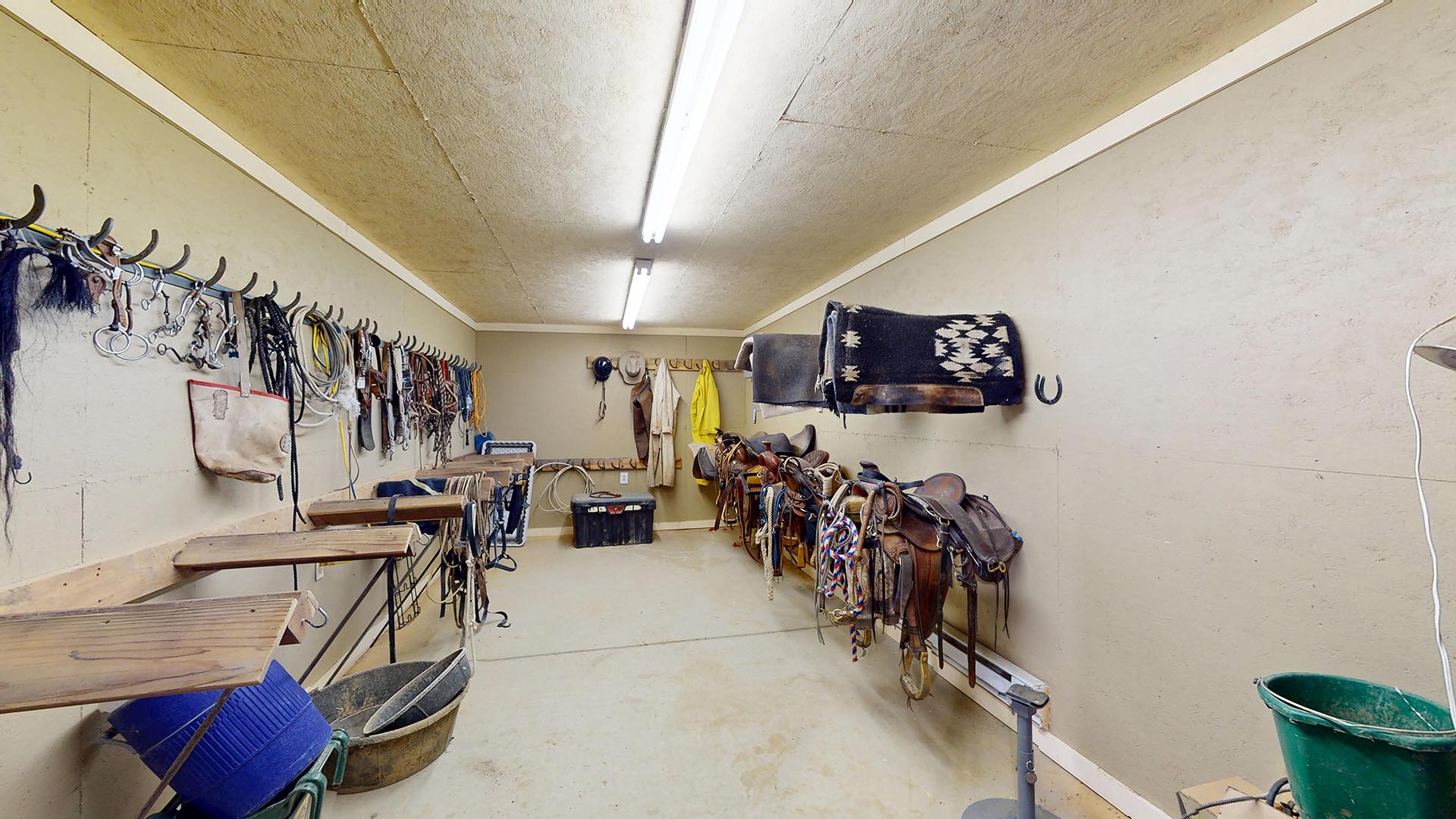 Tack room with saddles on racks, bridles and reins hanging along the left wall, and gear neatly organized under fluorescent lights.
