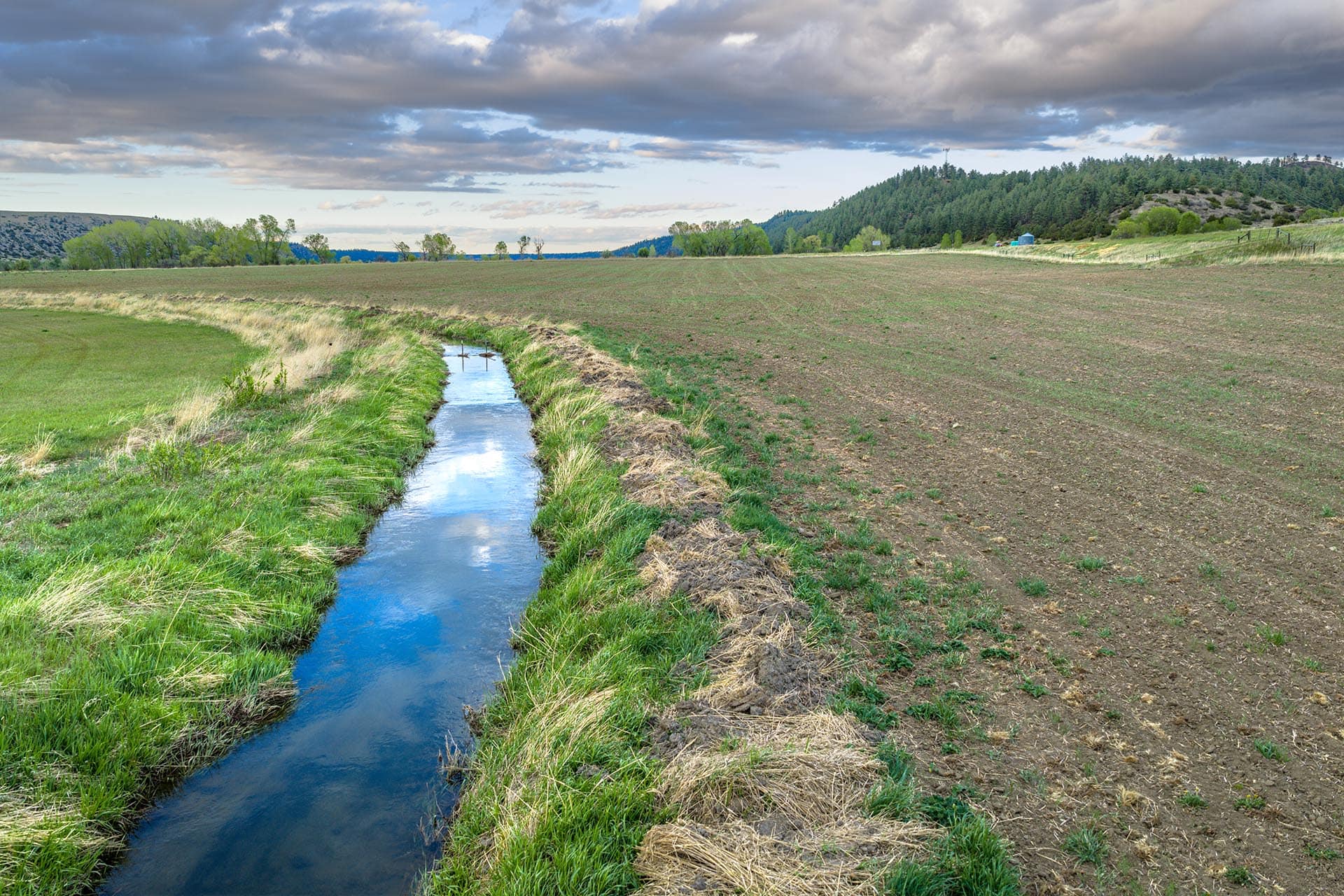 tilled farm land for sale with water channel montana stillwater riffle ranch